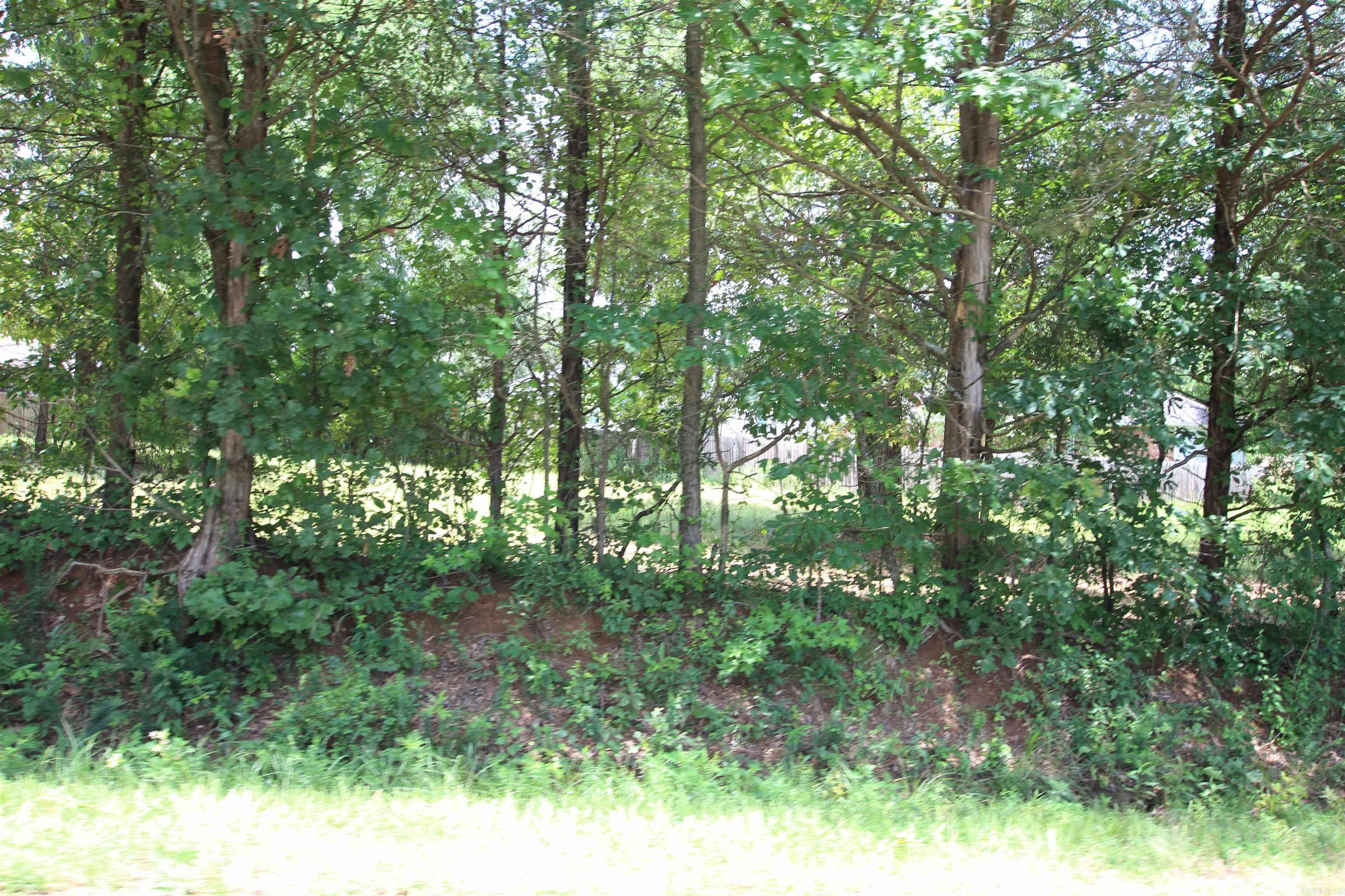 Lot 19 Round Rock  Russellville, AR