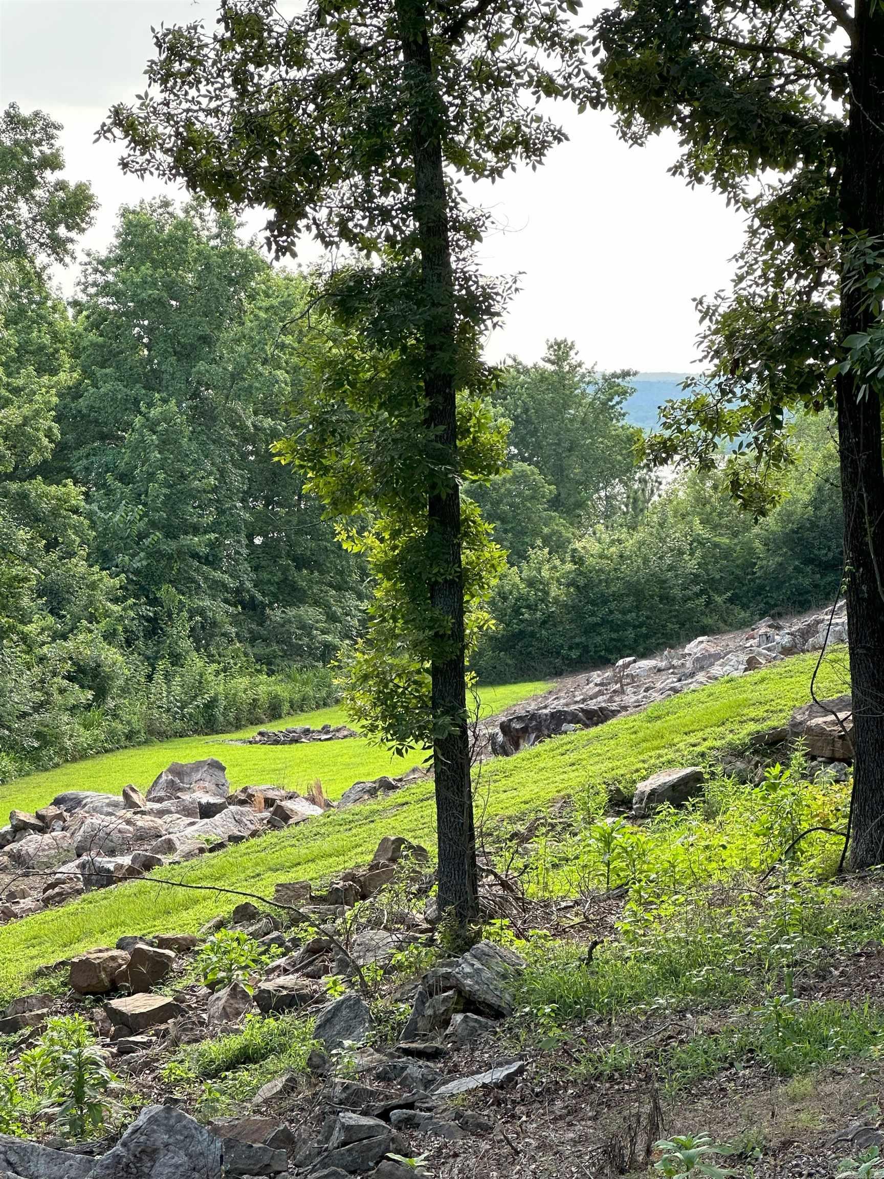 900 Davidson Circle Edgemont, AR 72044