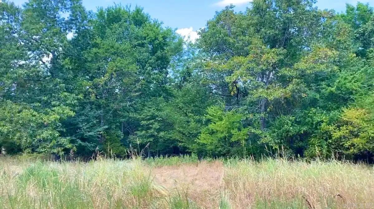 000 Cedar Creek  Diamond City, AR