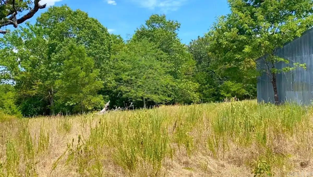 000 Cedar Creek  Diamond City, AR