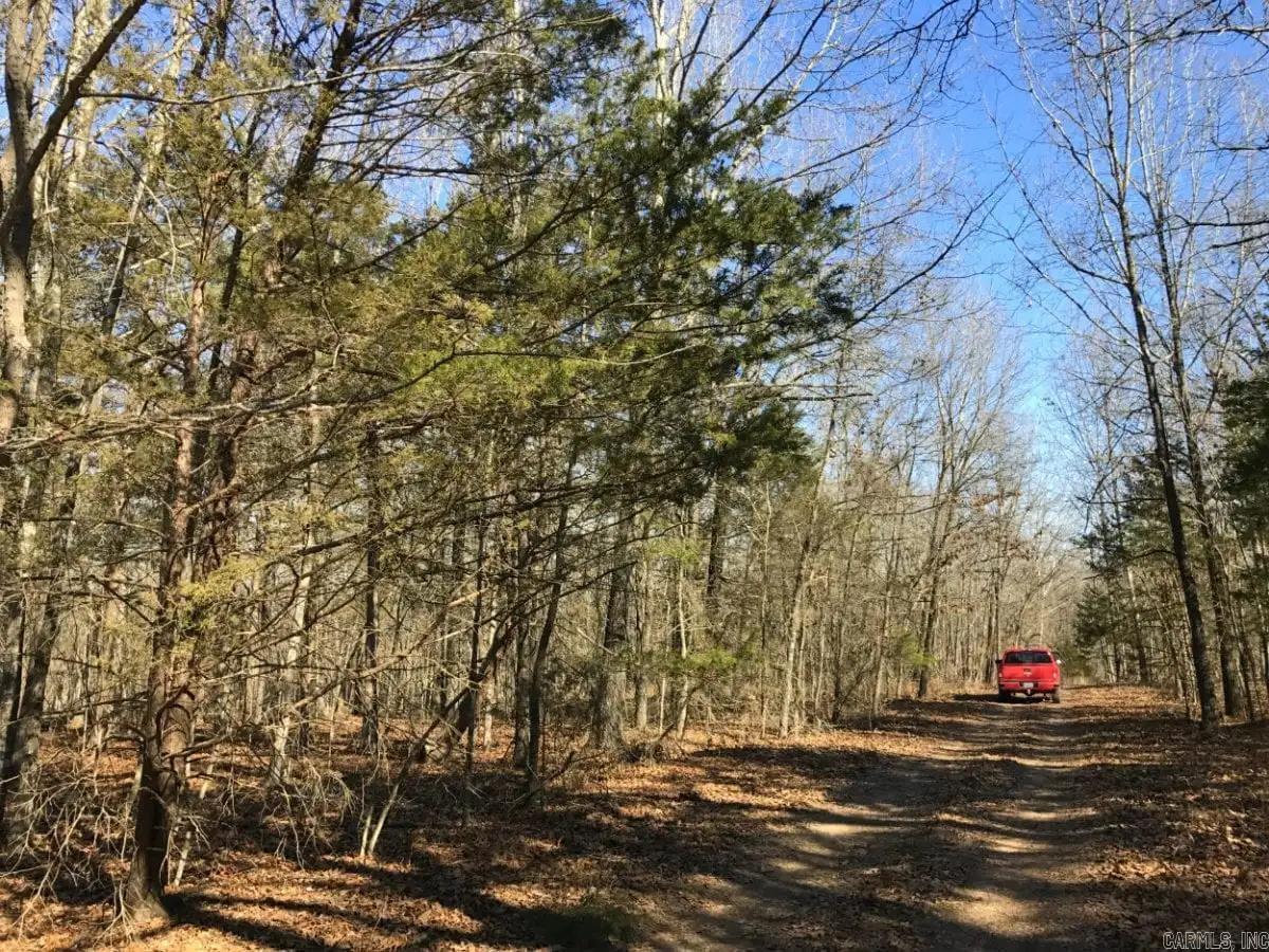 000 Cedar Creek  Diamond City, AR