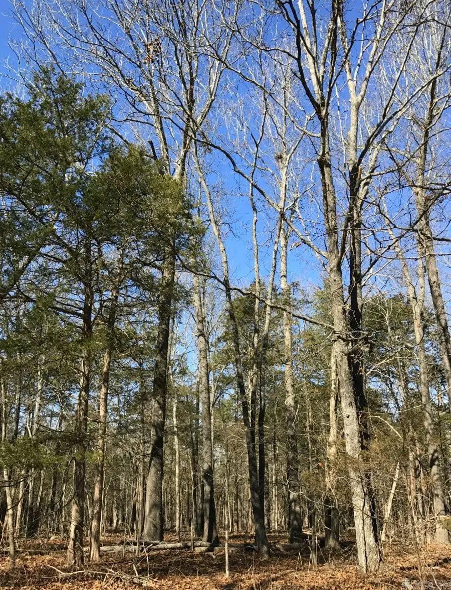 000 Cedar Creek  Diamond City, AR