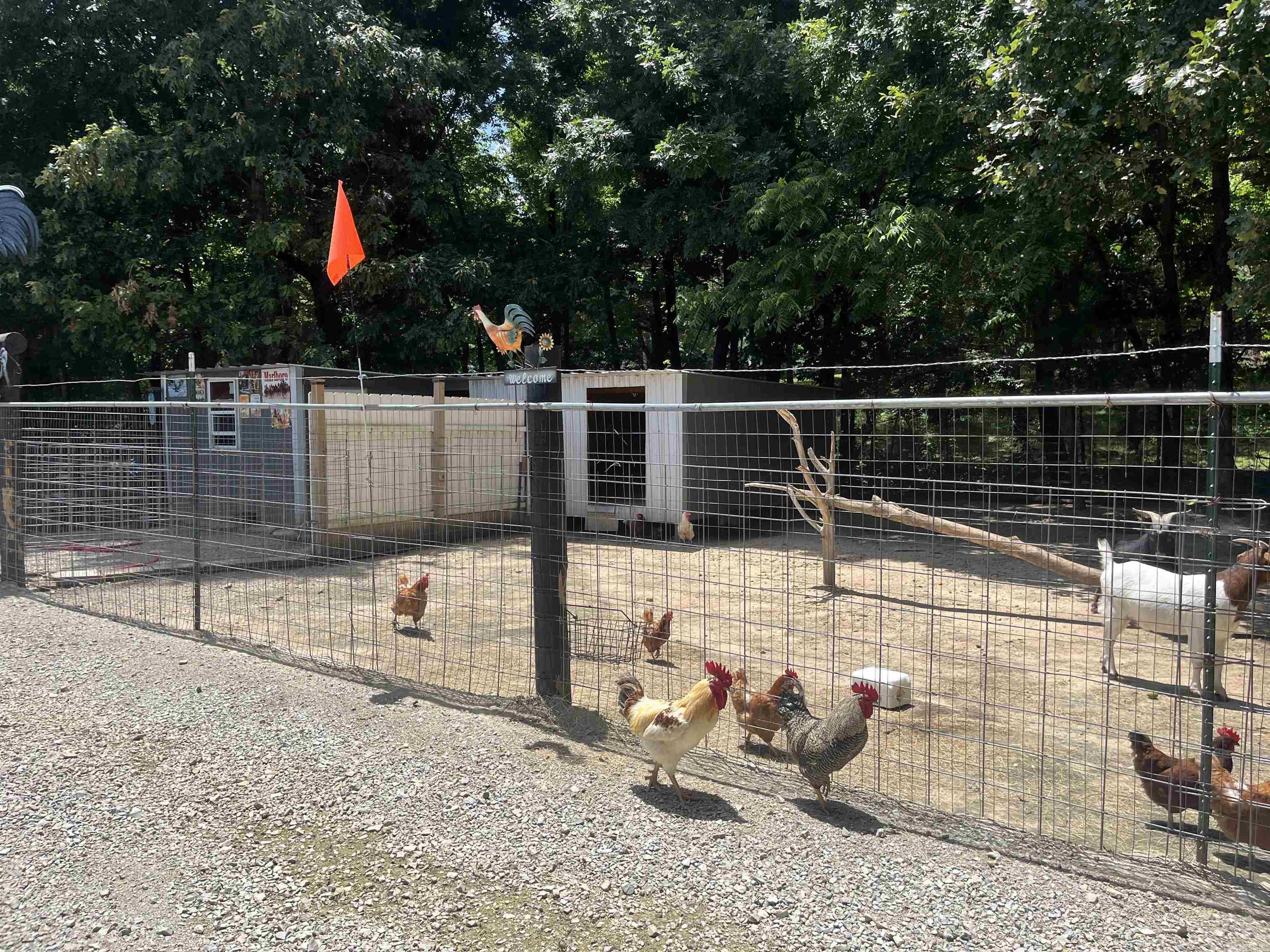 894 CR 792  Brookland, AR