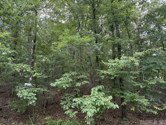 2 Brilliante  Hot Springs Village, AR