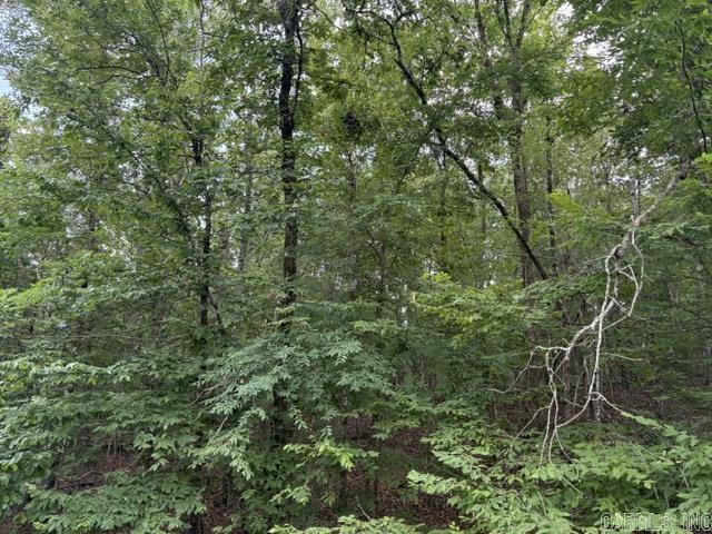 2 Brilliante  Hot Springs Village, AR