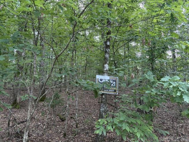 2 Brilliante  Hot Springs Village, AR