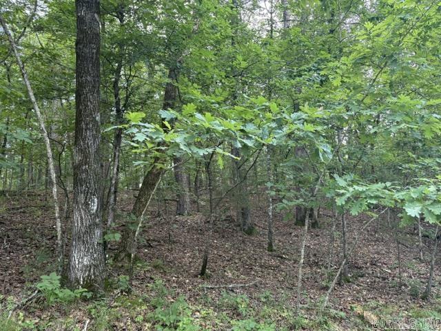 2 Brilliante  Hot Springs Village, AR