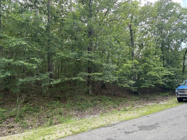 2 Brilliante  Hot Springs Village, AR