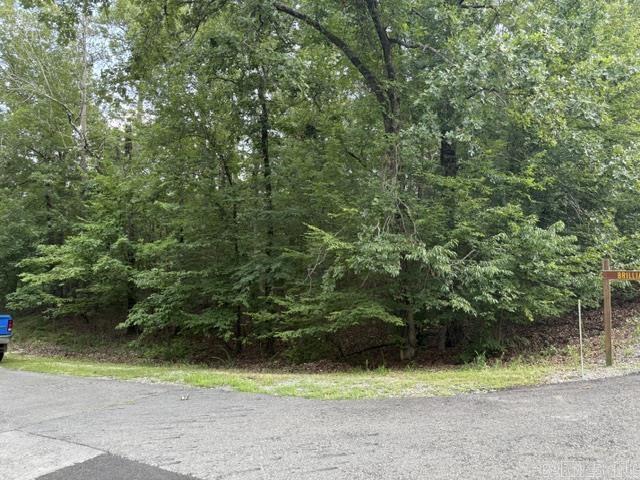 2 Brilliante  Hot Springs Village, AR