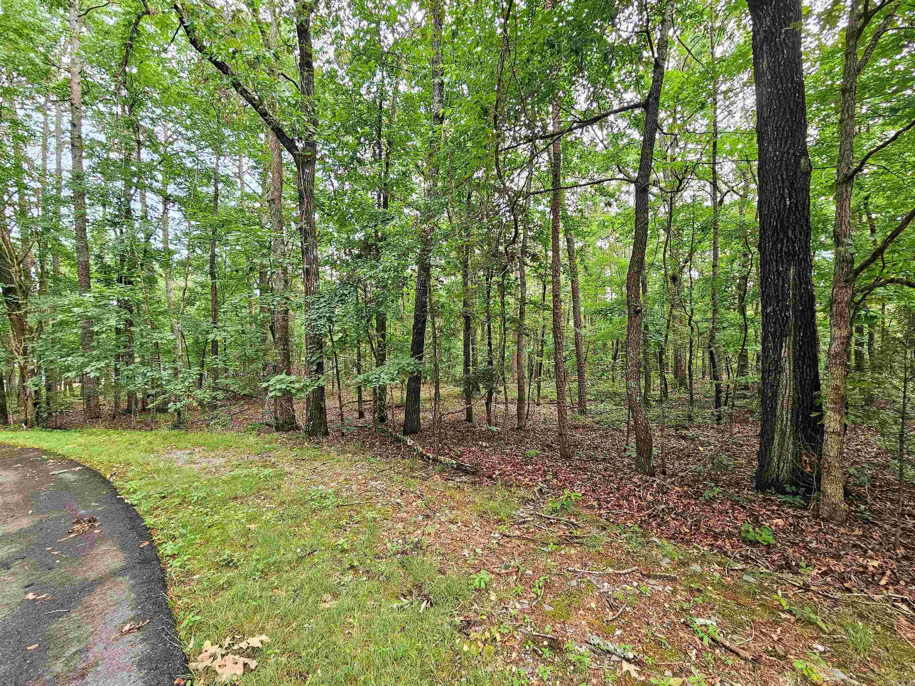 11 Paella  Hot Springs Village, AR