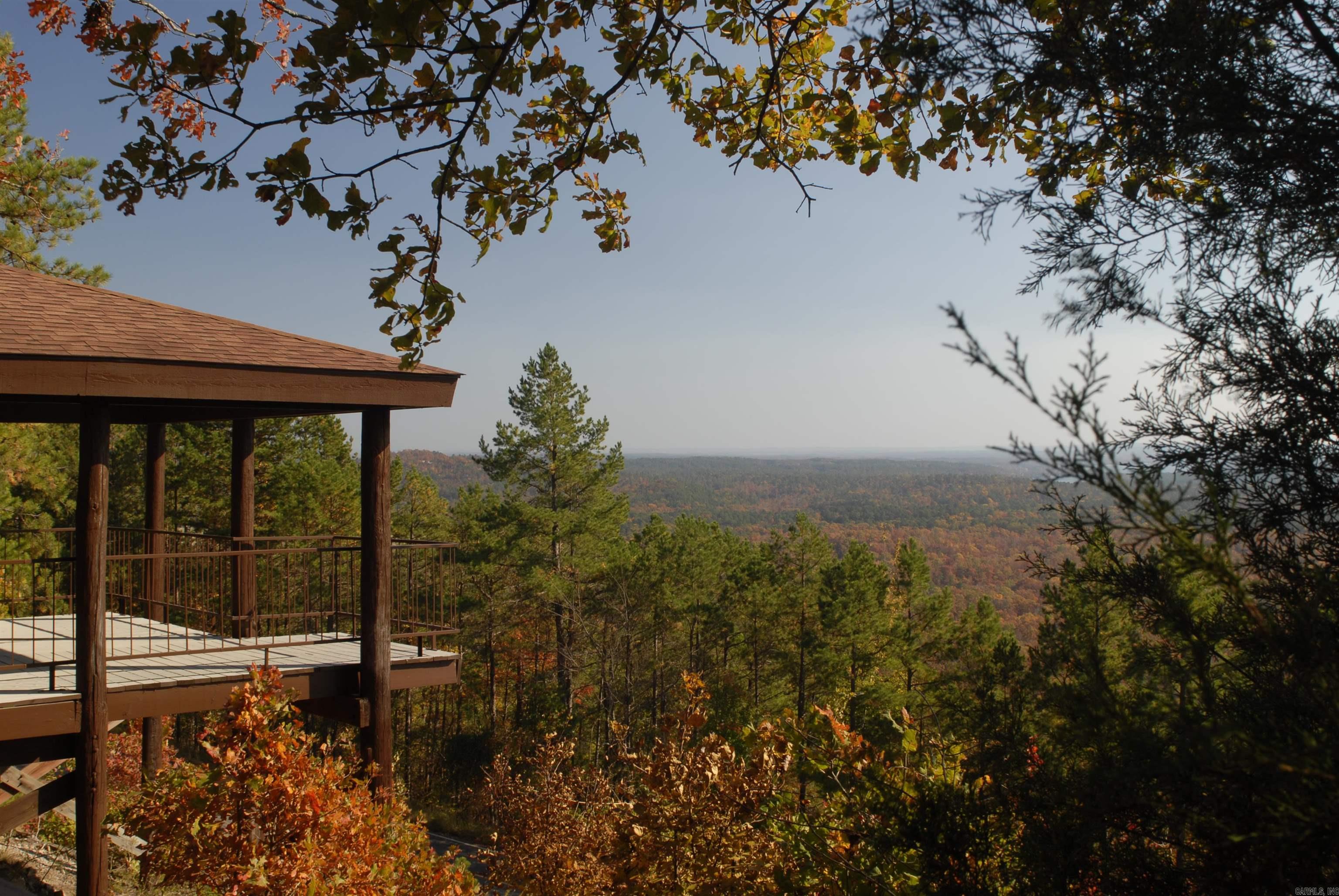 11 Paella  Hot Springs Village, AR