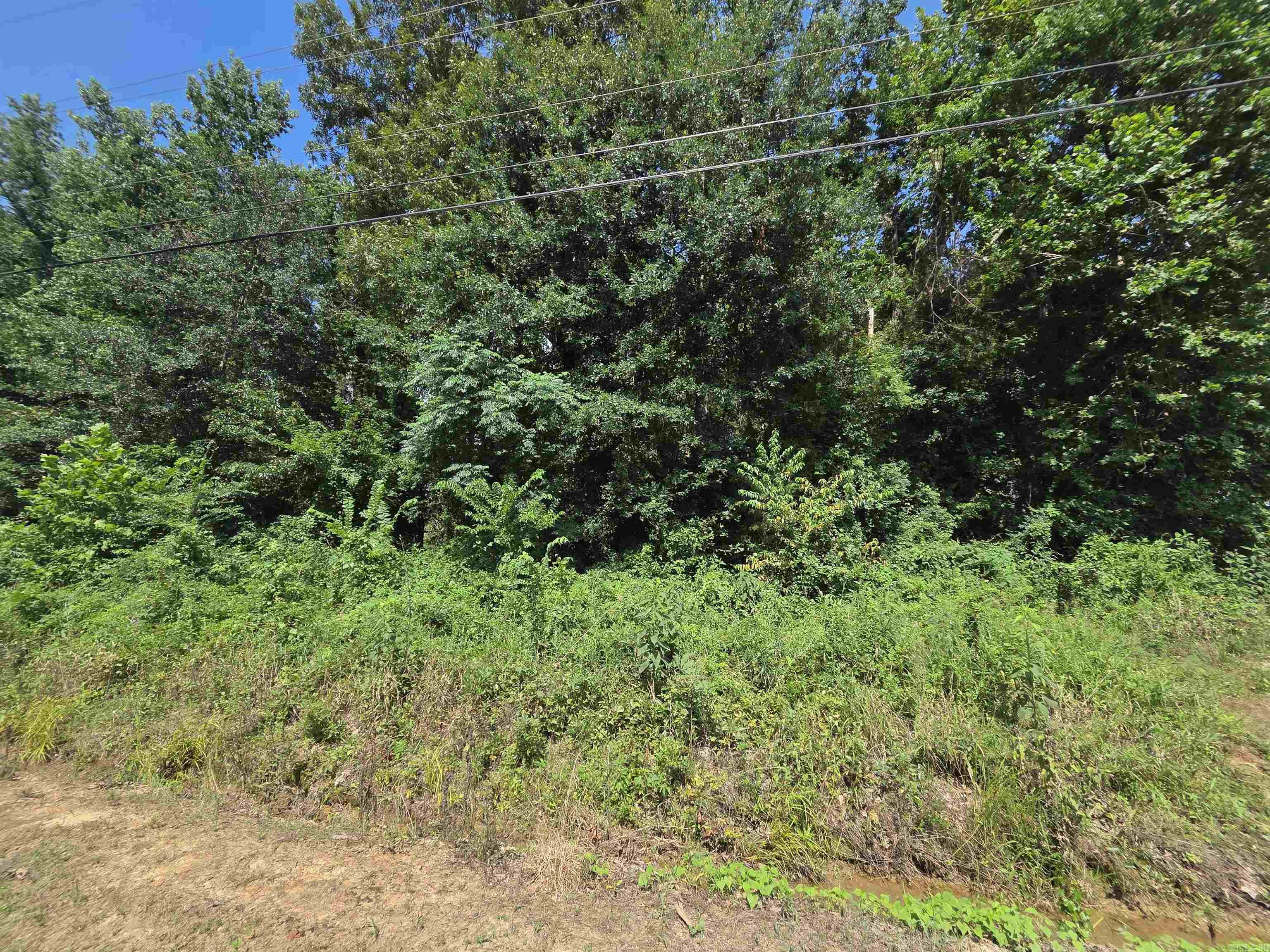 900 CR 1651  Knoxville, AR