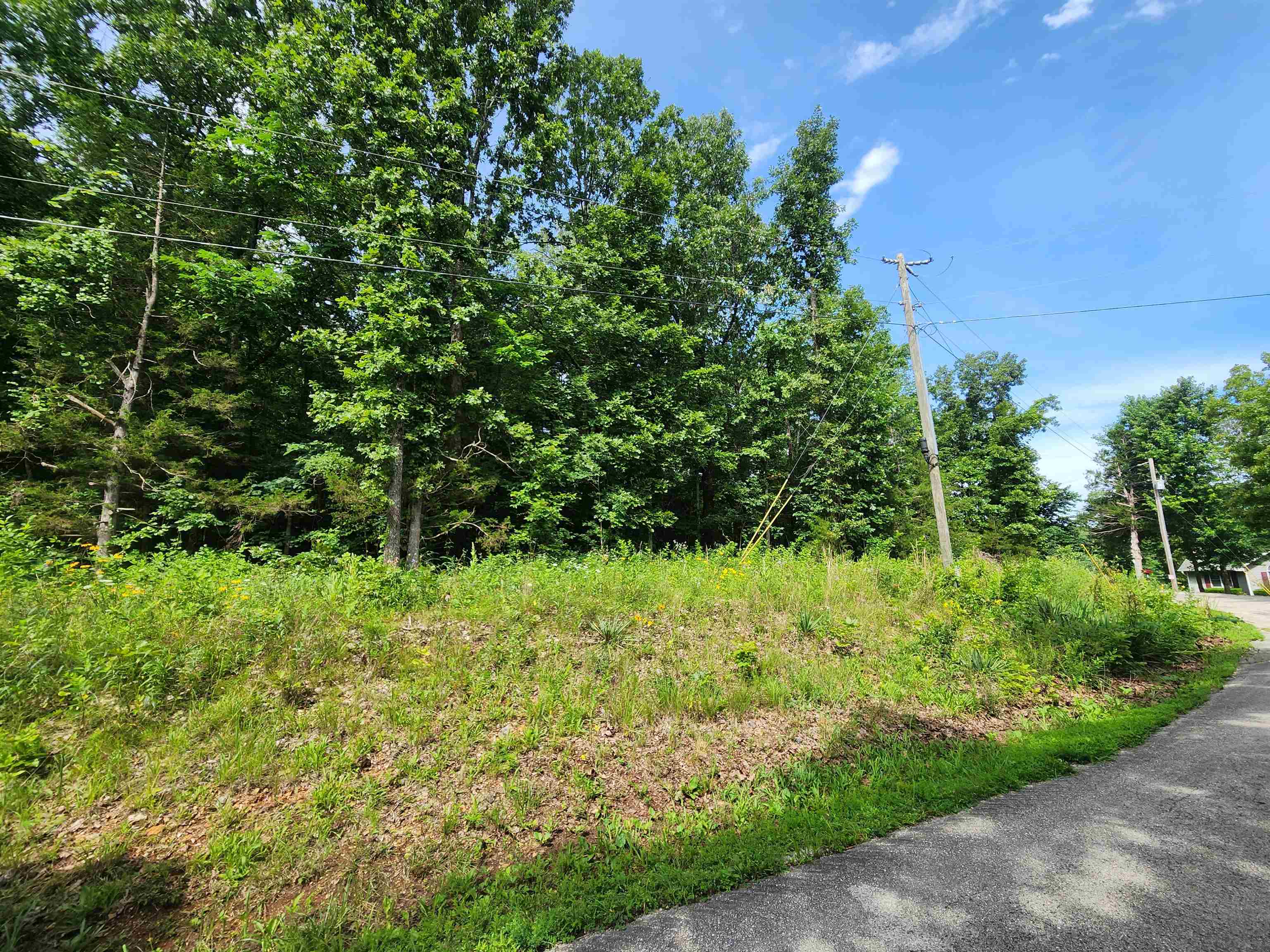  Pinal  Cherokee Village, AR