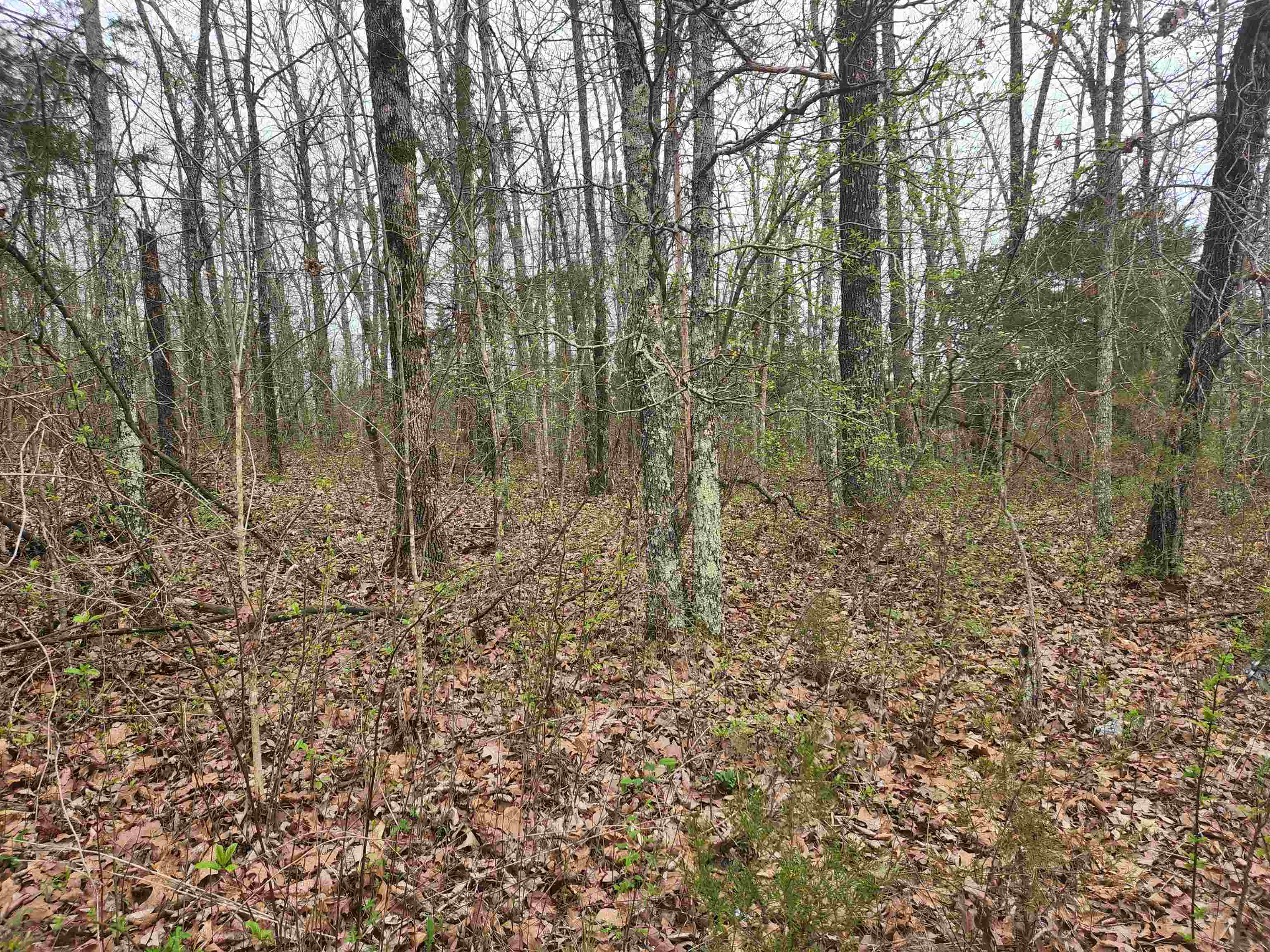  Pinal  Cherokee Village, AR