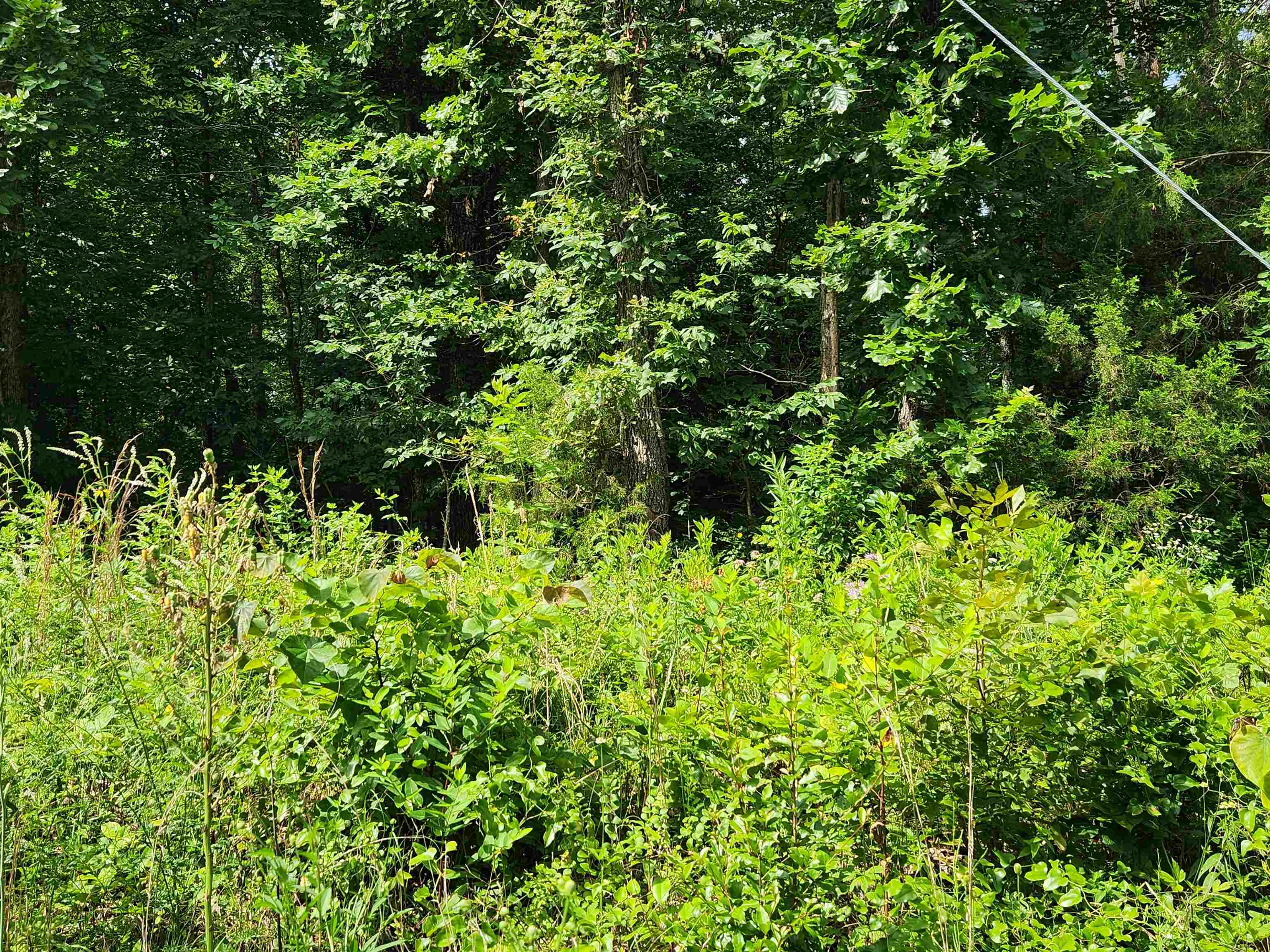  Pinal  Cherokee Village, AR