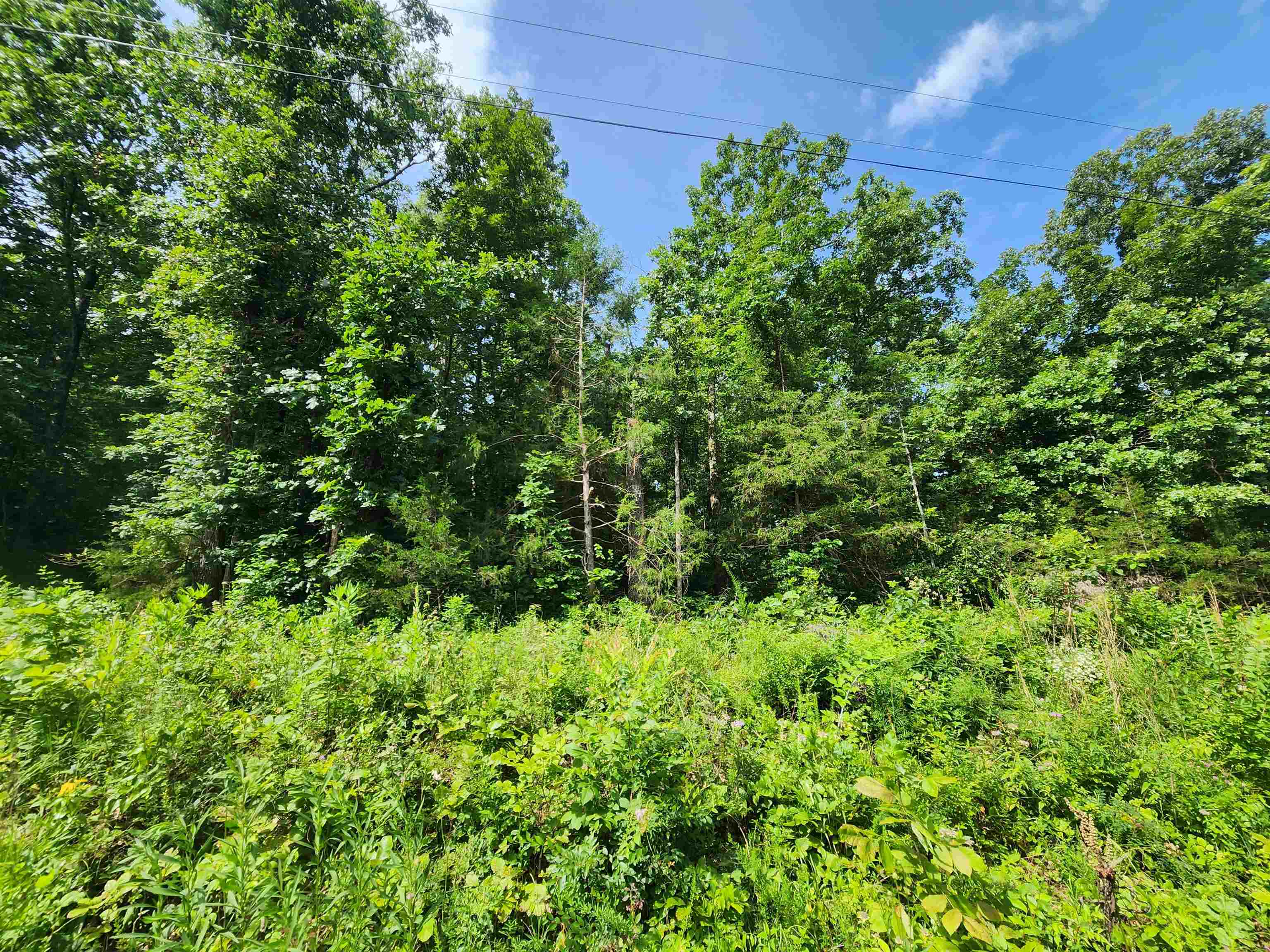  Pinal  Cherokee Village, AR