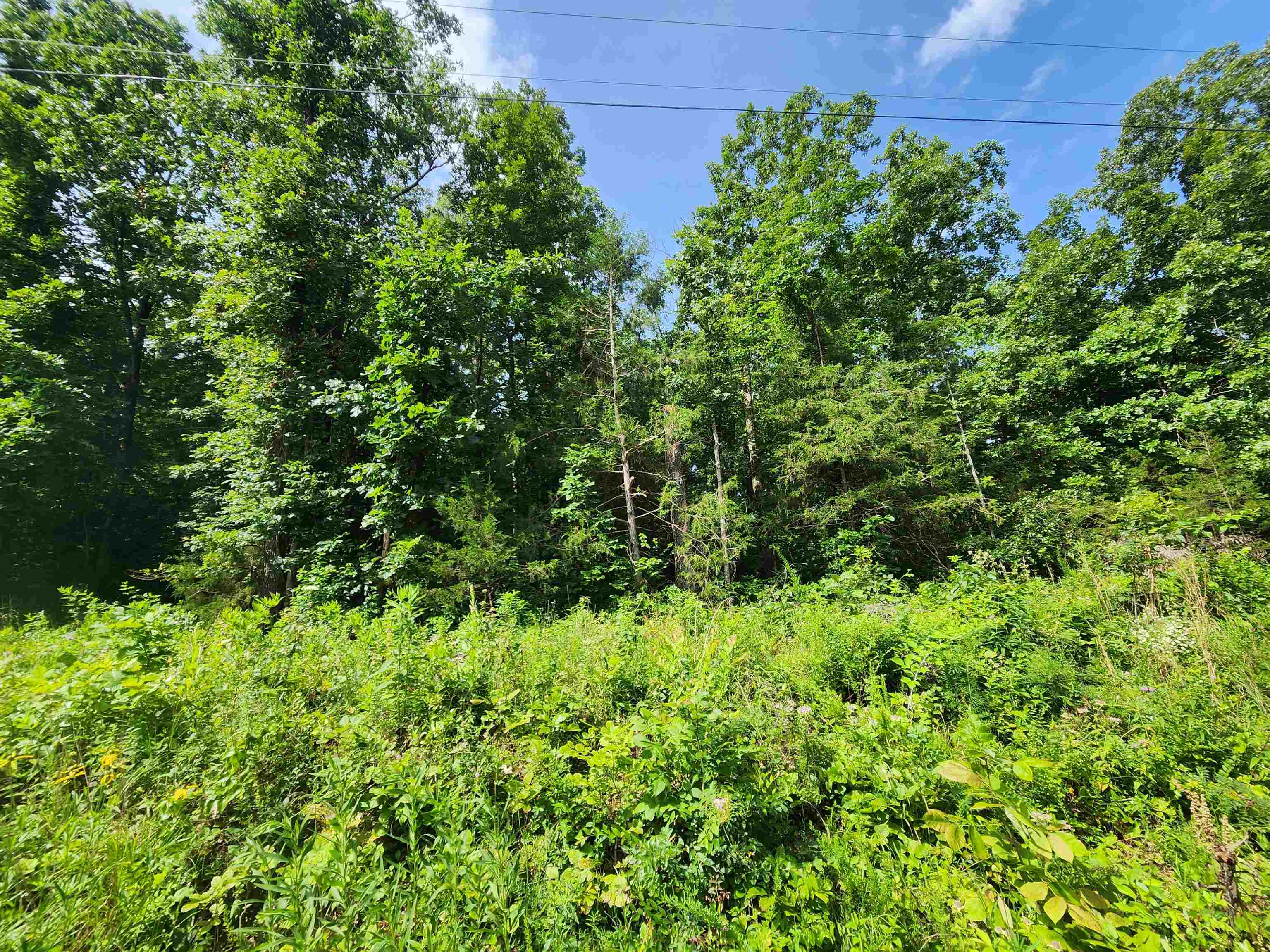  Pinal  Cherokee Village, AR