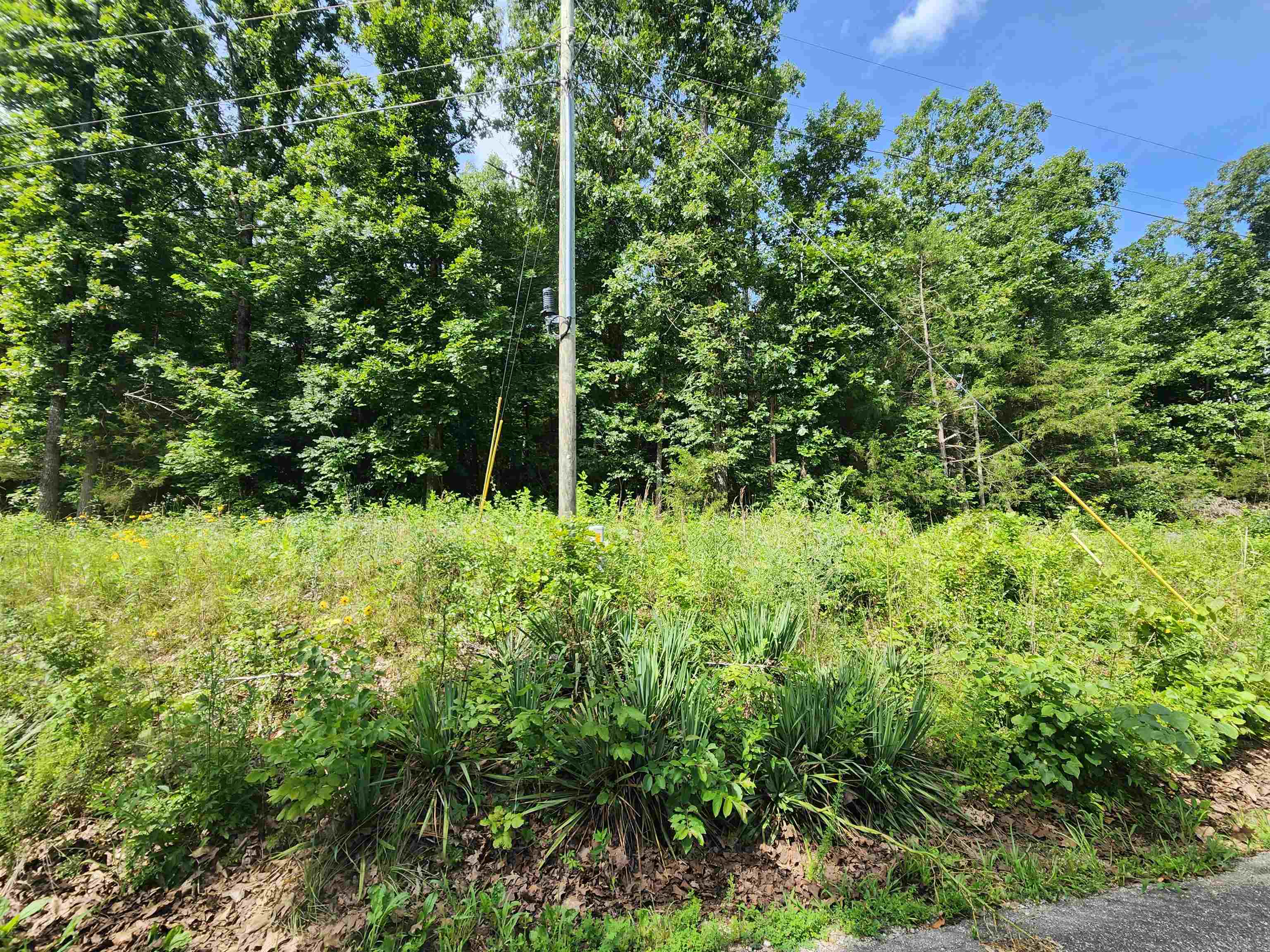  Pinal  Cherokee Village, AR