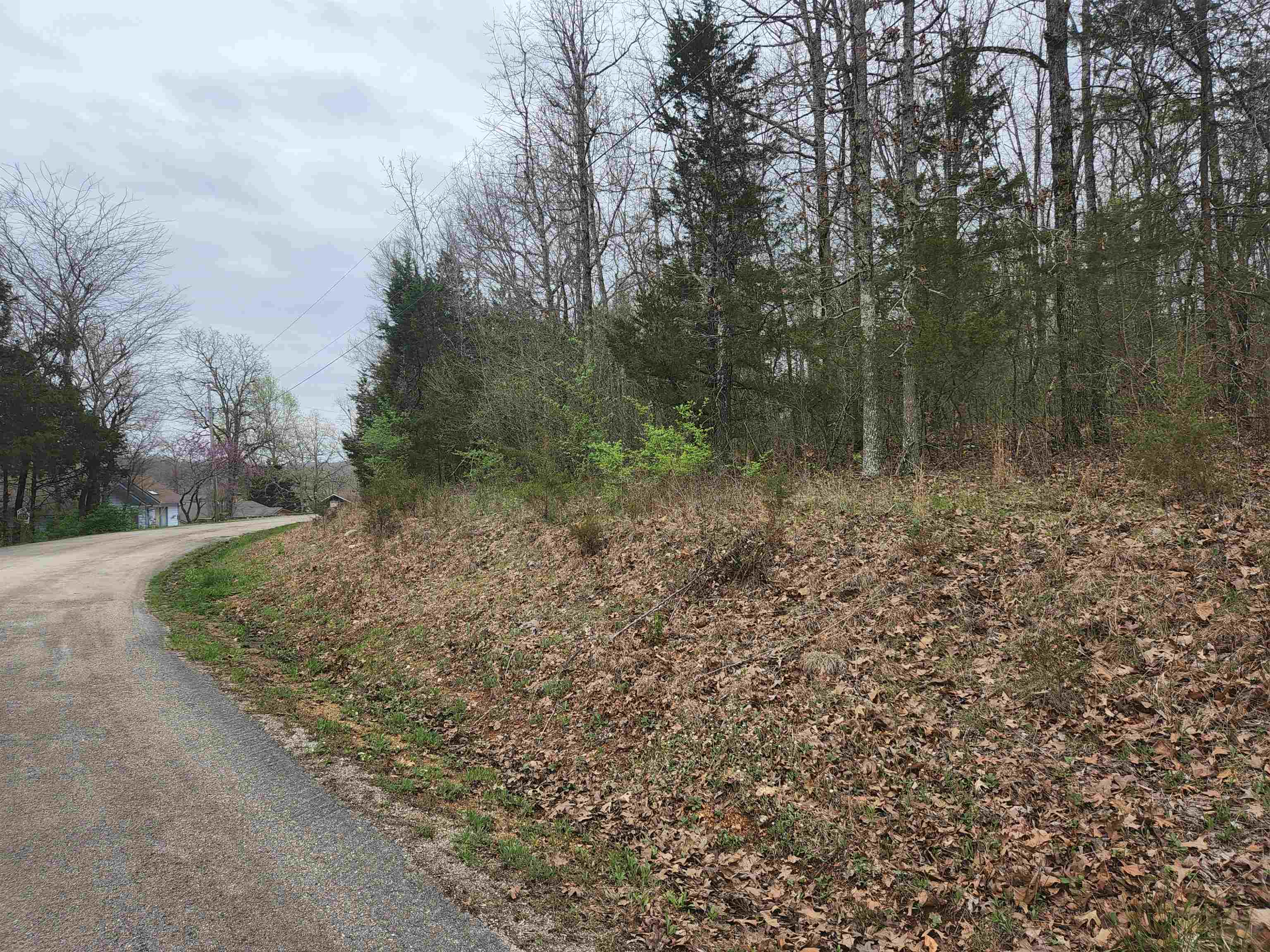  Pinal  Cherokee Village, AR