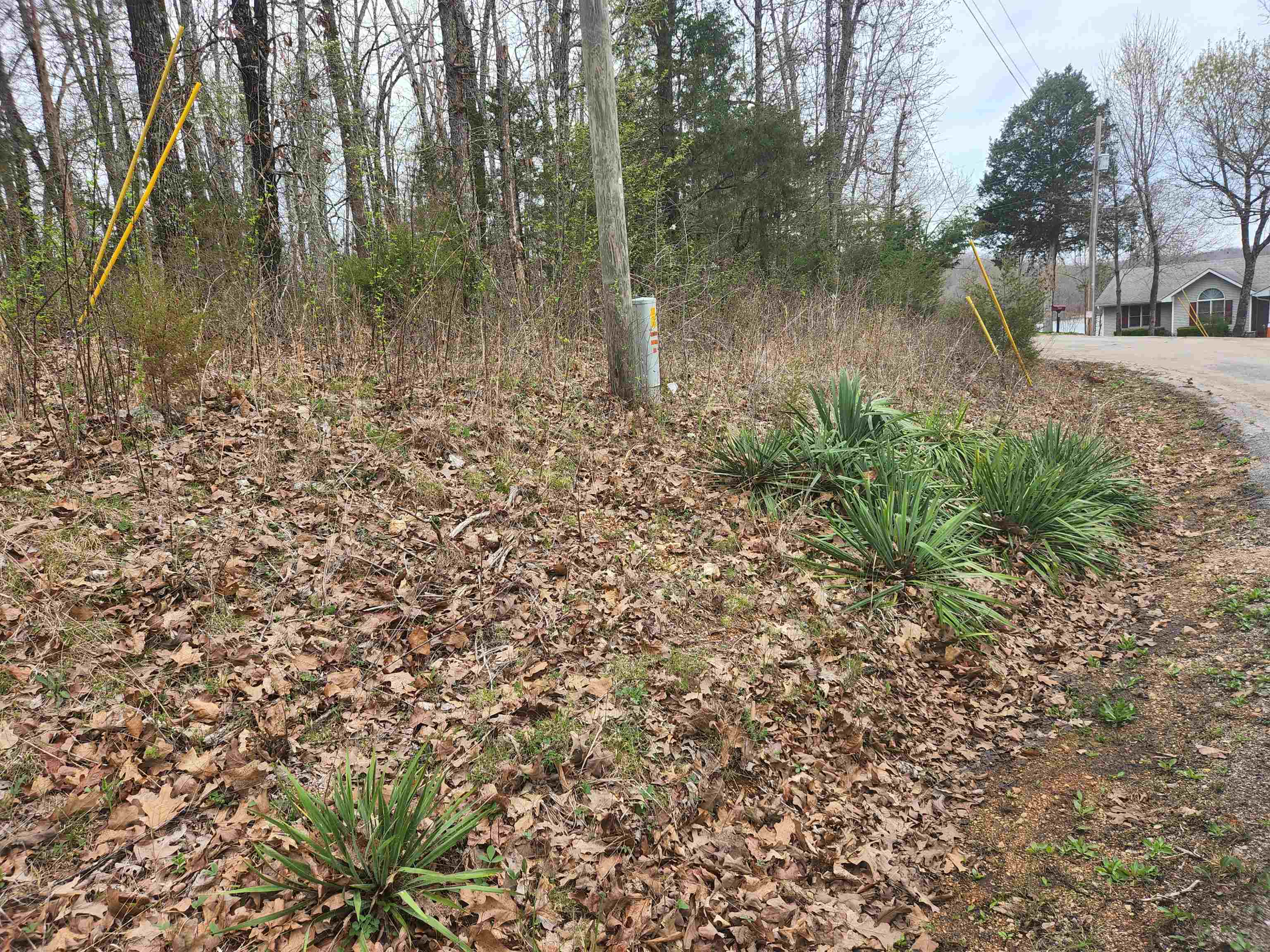  Pinal  Cherokee Village, AR