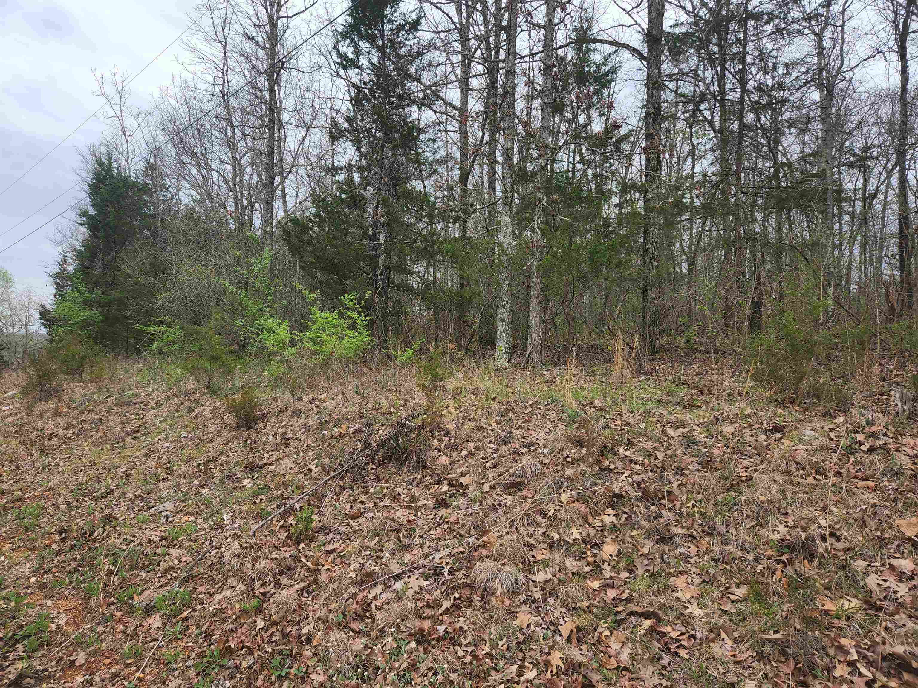  Pinal  Cherokee Village, AR