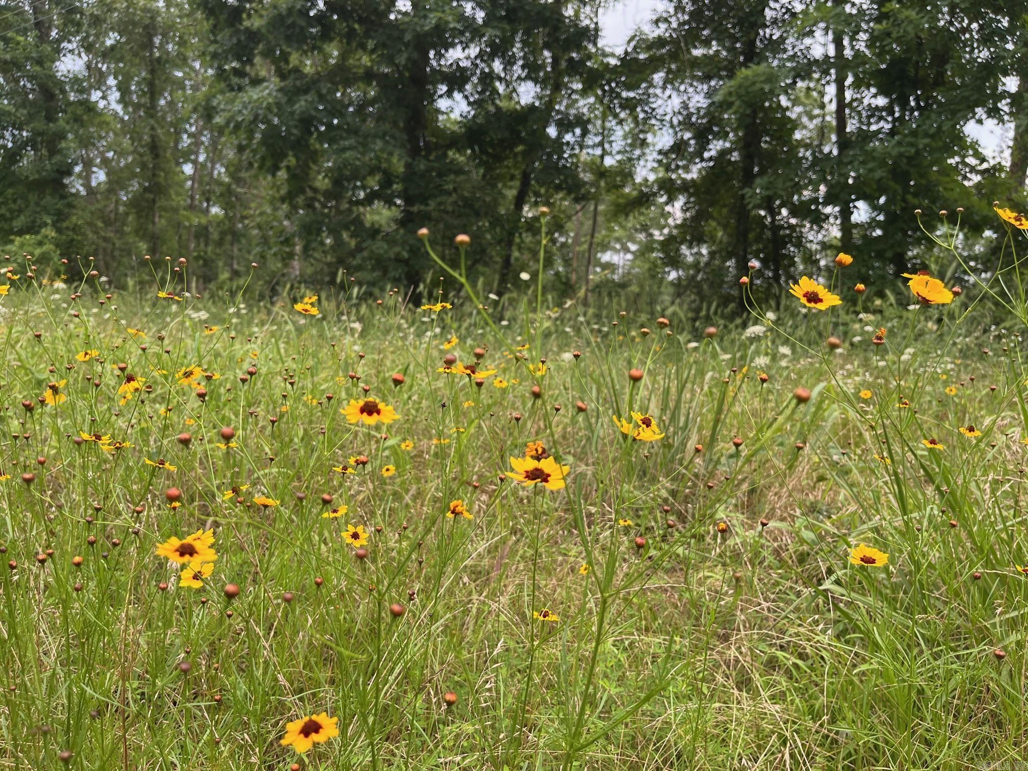 TBD Hwy 84  Amity, AR