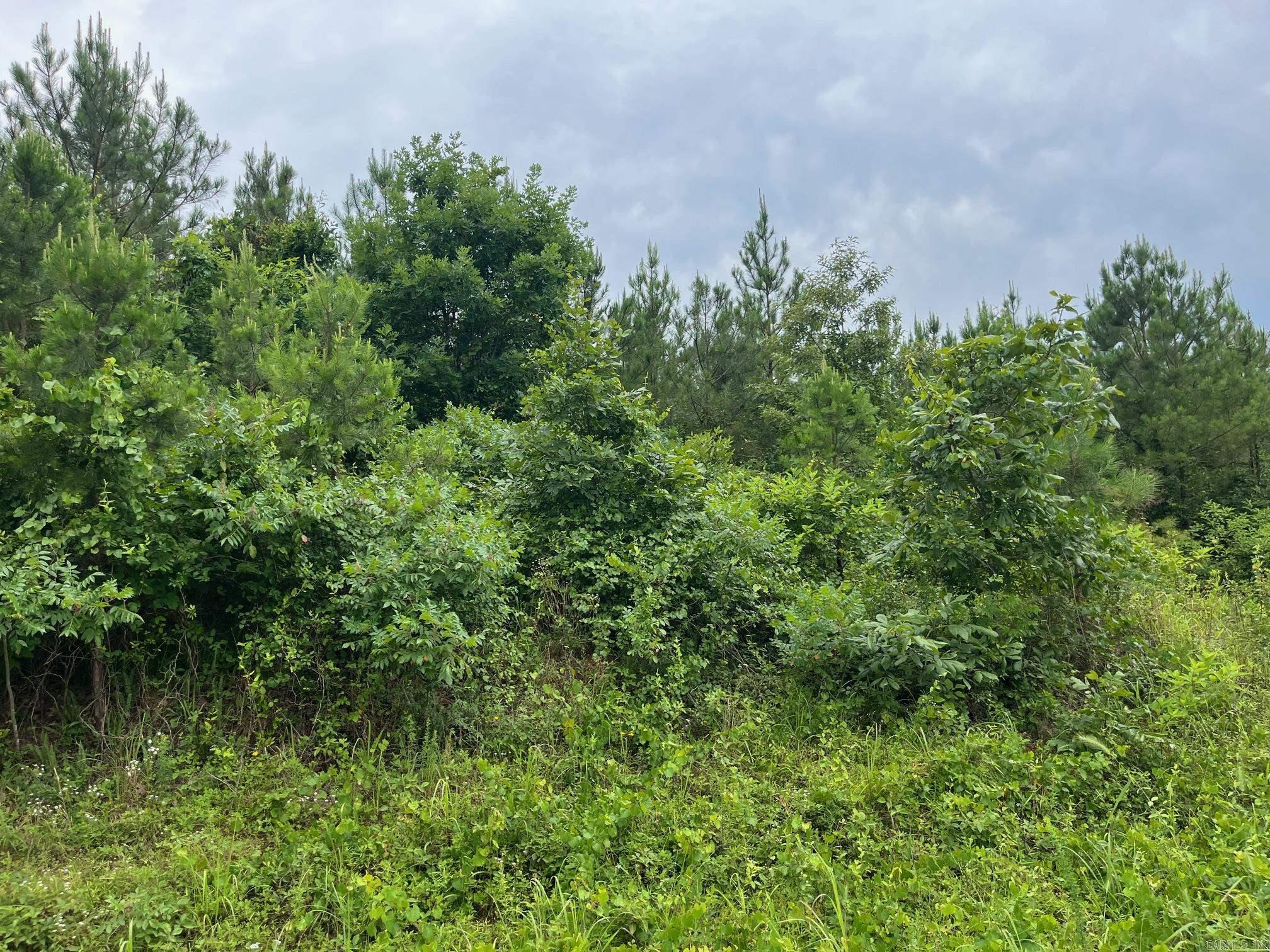 TBD Shouse Ford  Bismarck, AR