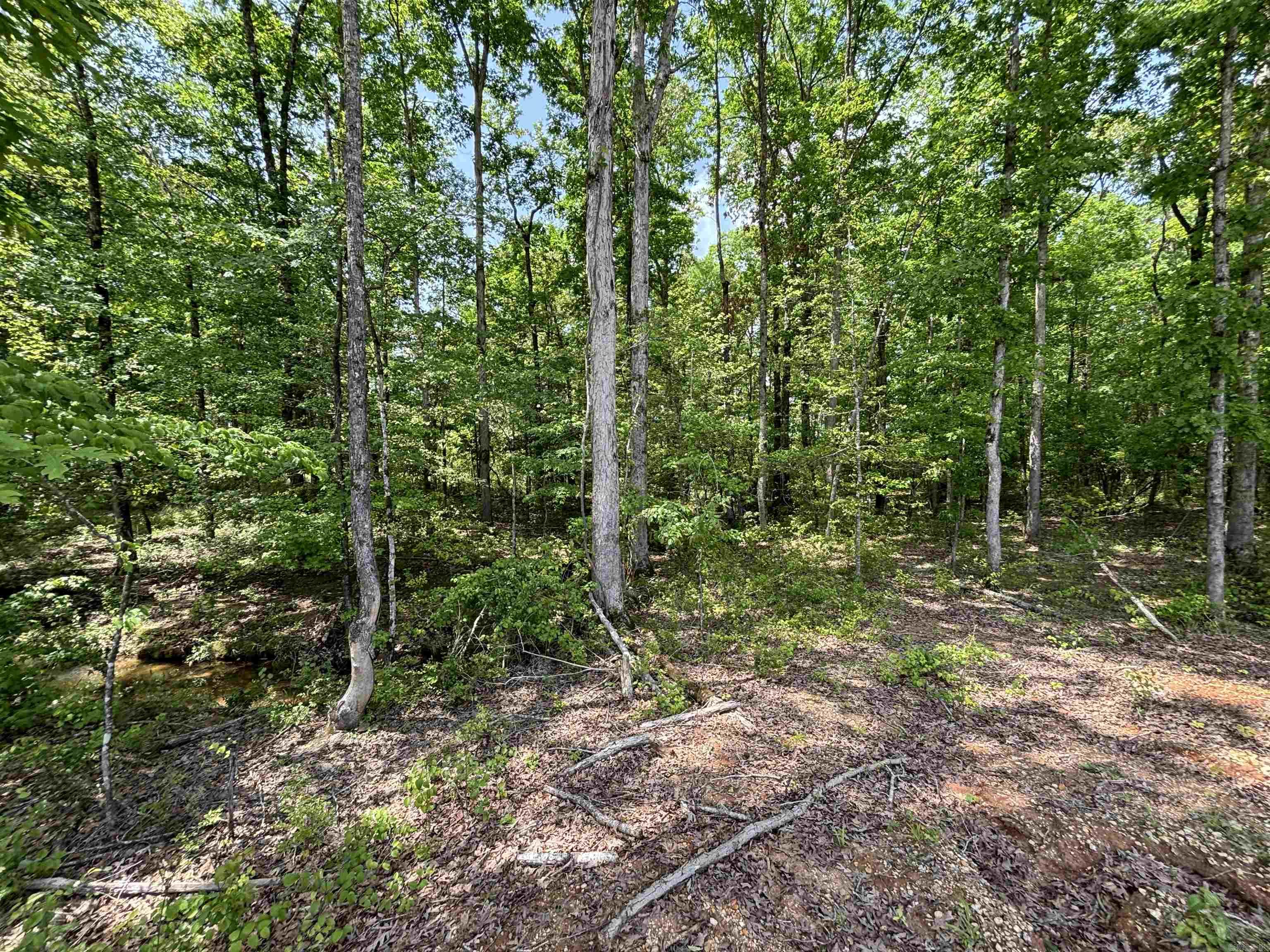 lot 23 Grant County Road 763  Sheridan, AR