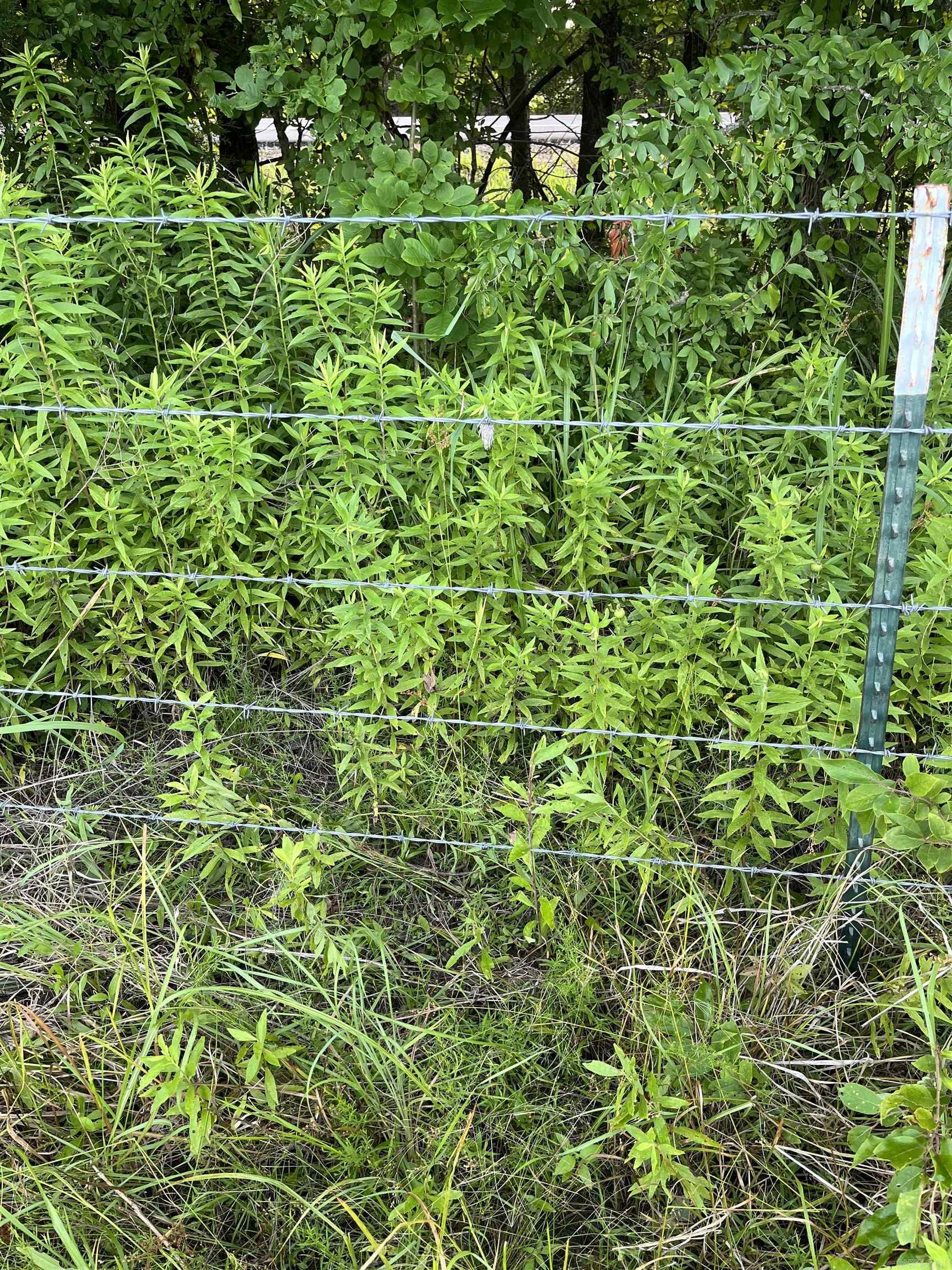 TBD 71  Lockesburg, AR