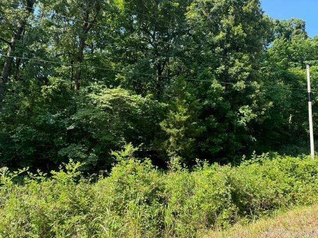 TBD Springview  Pocahontas, AR