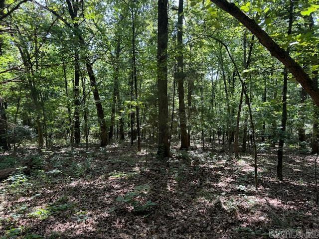 TBD Springview  Pocahontas, AR