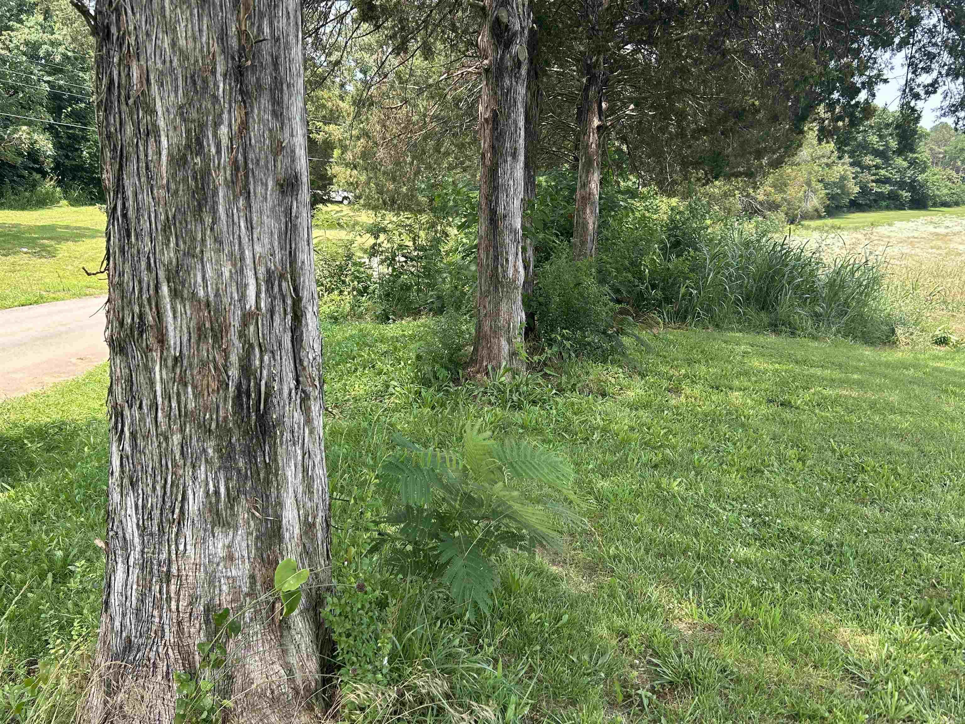 000 Gin Hill Road  Ash Flat, AR