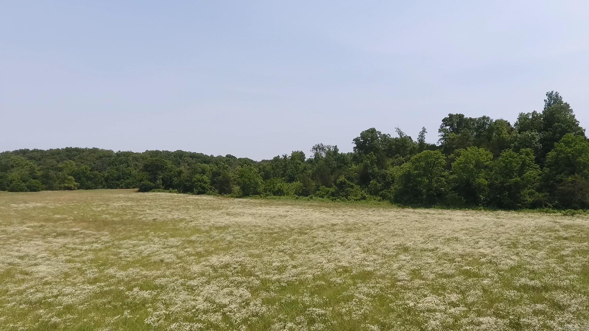 000 Gin Hill Road  Ash Flat, AR