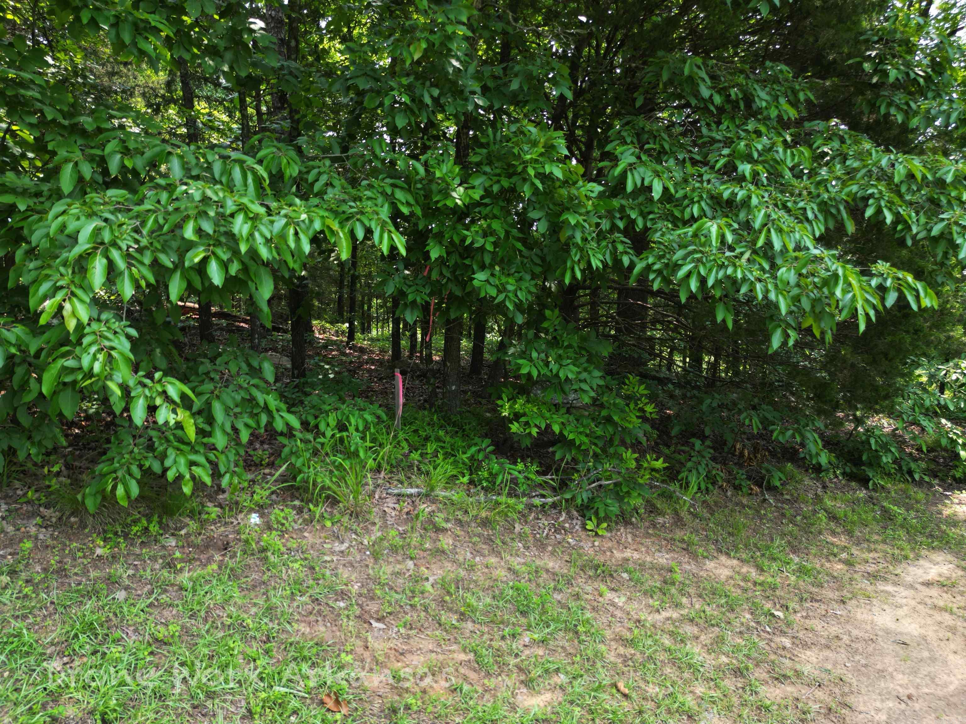 000 Lost Creek  Fairfield Bay, AR