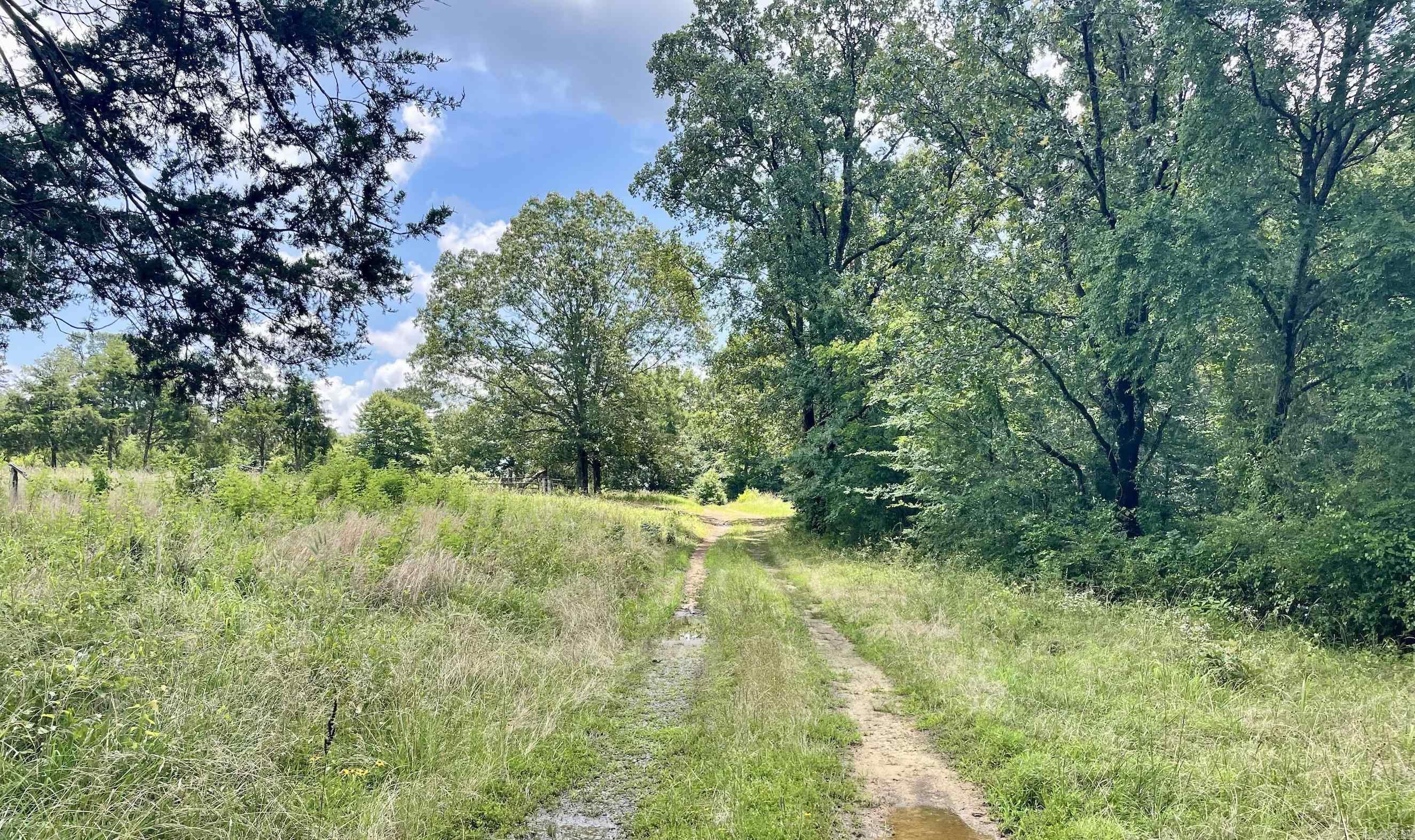 000 Scratch Gravel Road  Damascus, AR