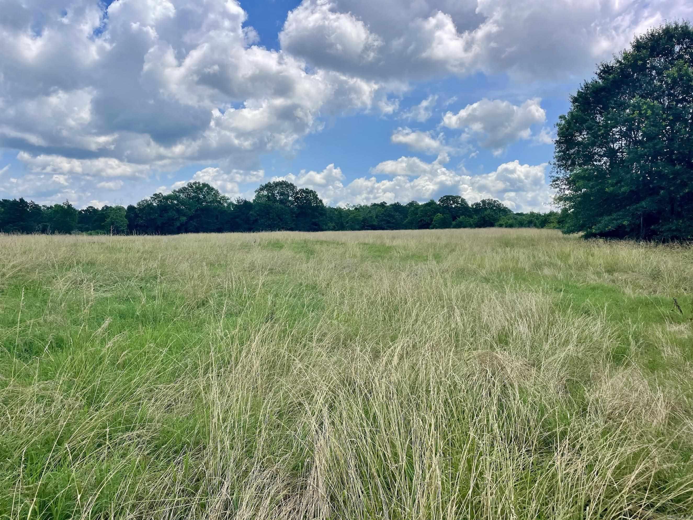 000 Scratch Gravel Road  Damascus, AR