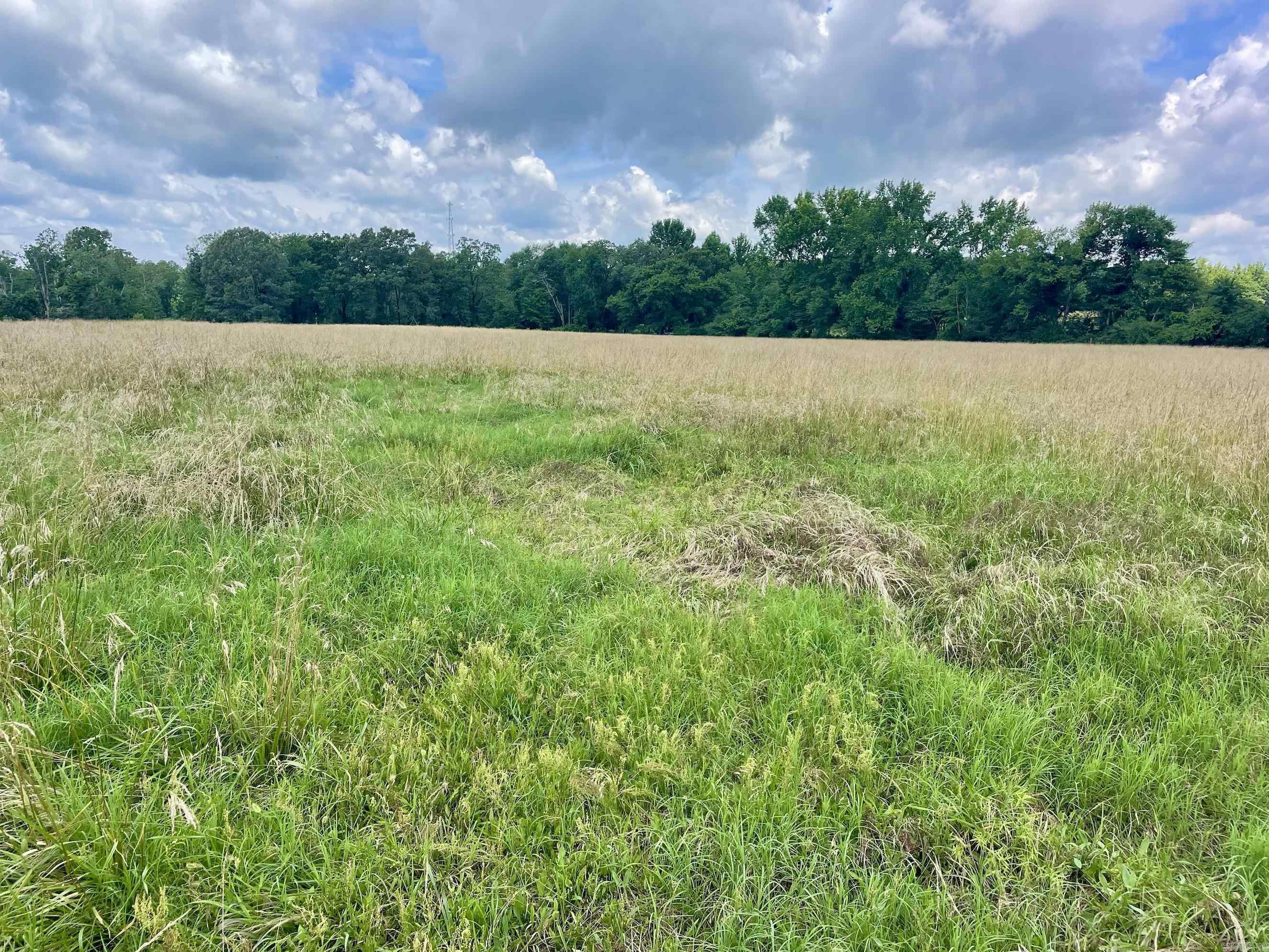 000 Scratch Gravel Road  Damascus, AR