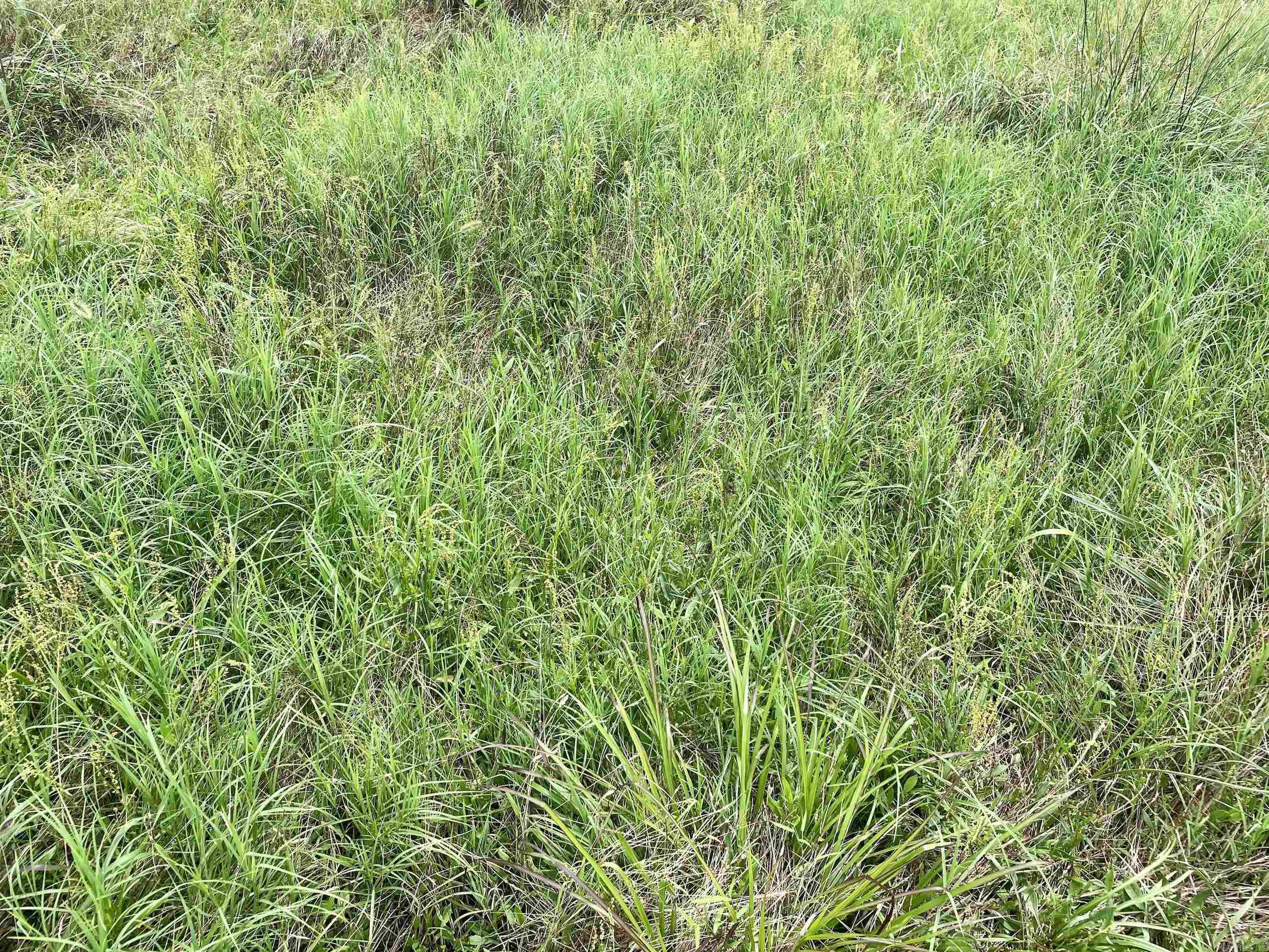 000 Scratch Gravel Road  Damascus, AR