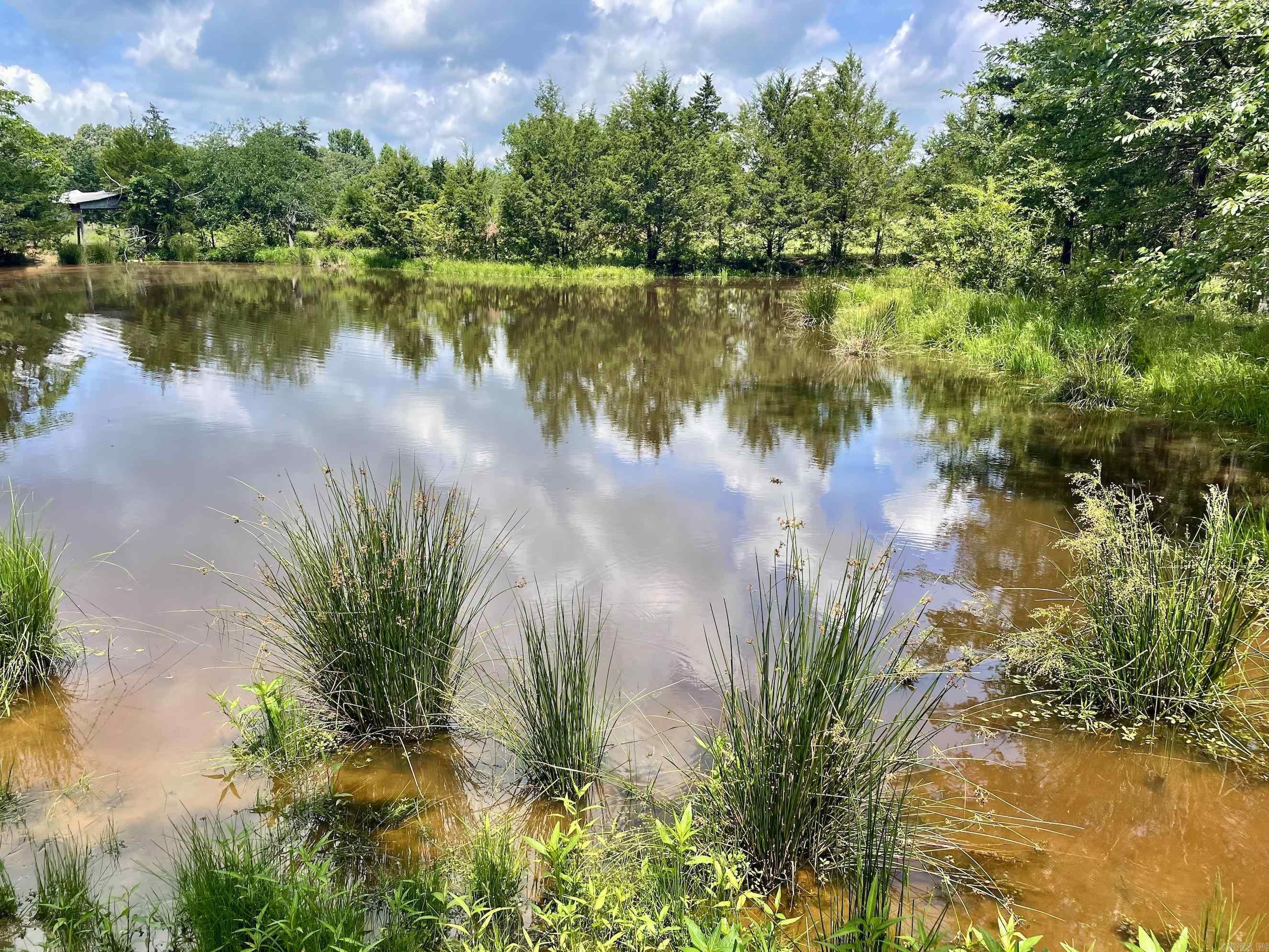 000 Scratch Gravel Road  Damascus, AR