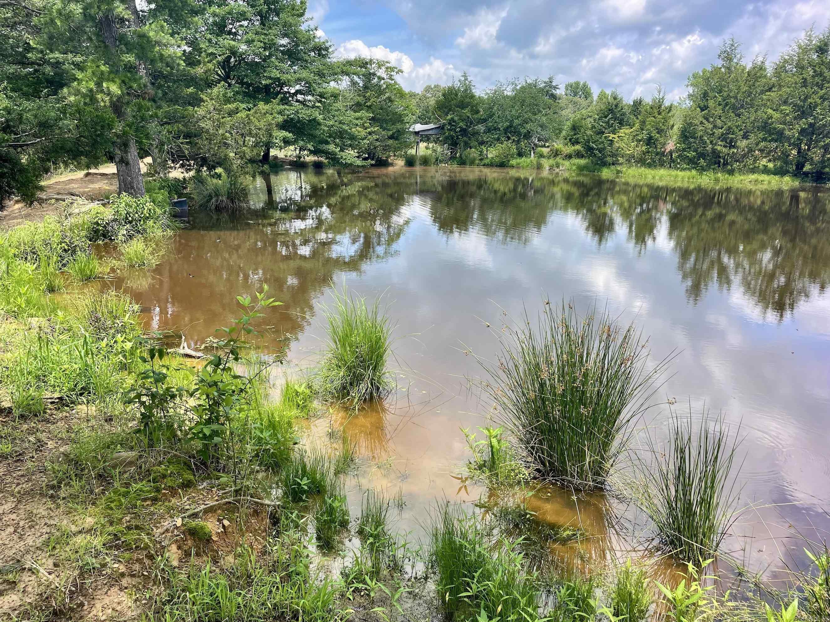 000 Scratch Gravel Road  Damascus, AR
