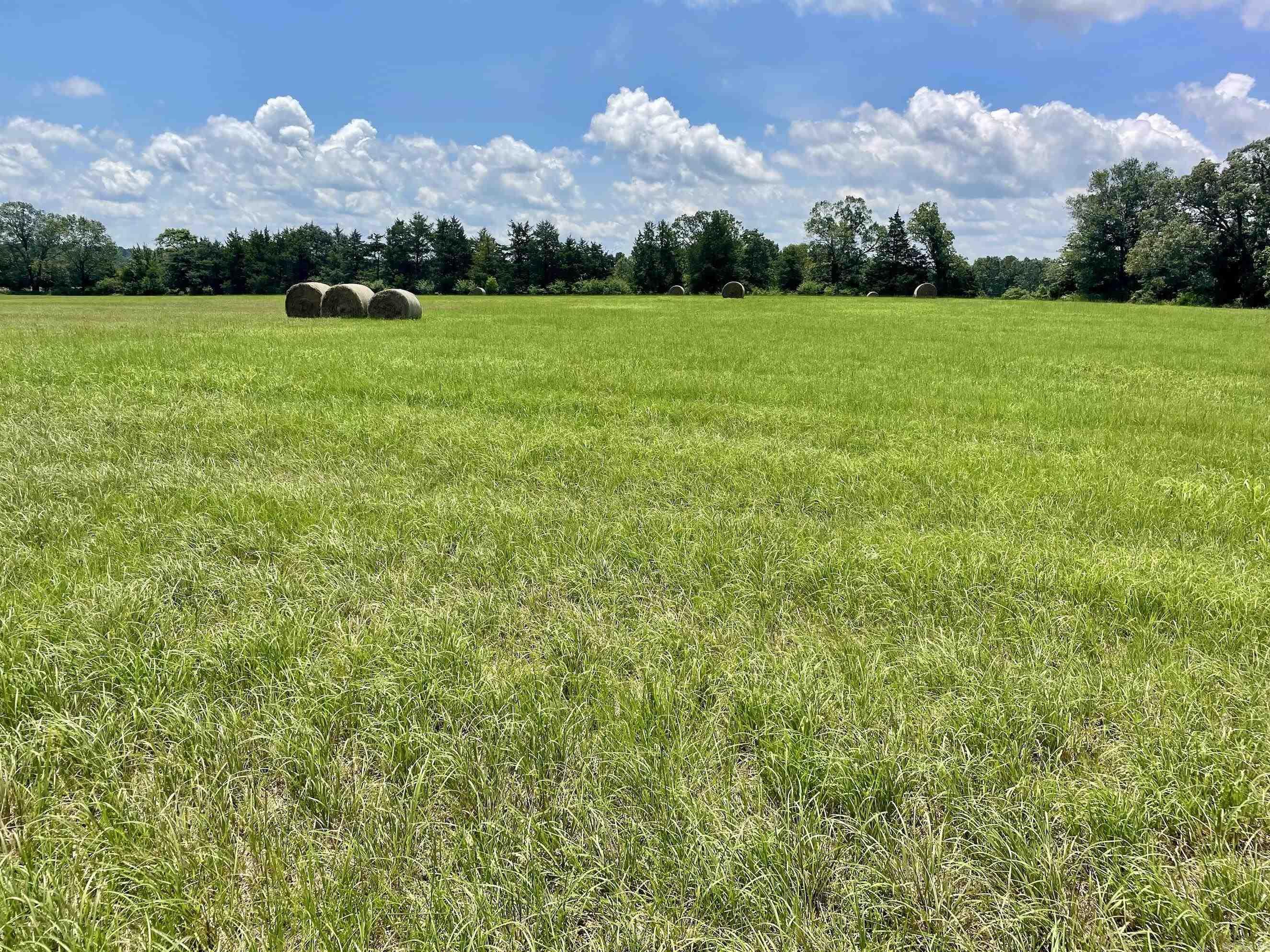 000 Scratch Gravel Road  Damascus, AR