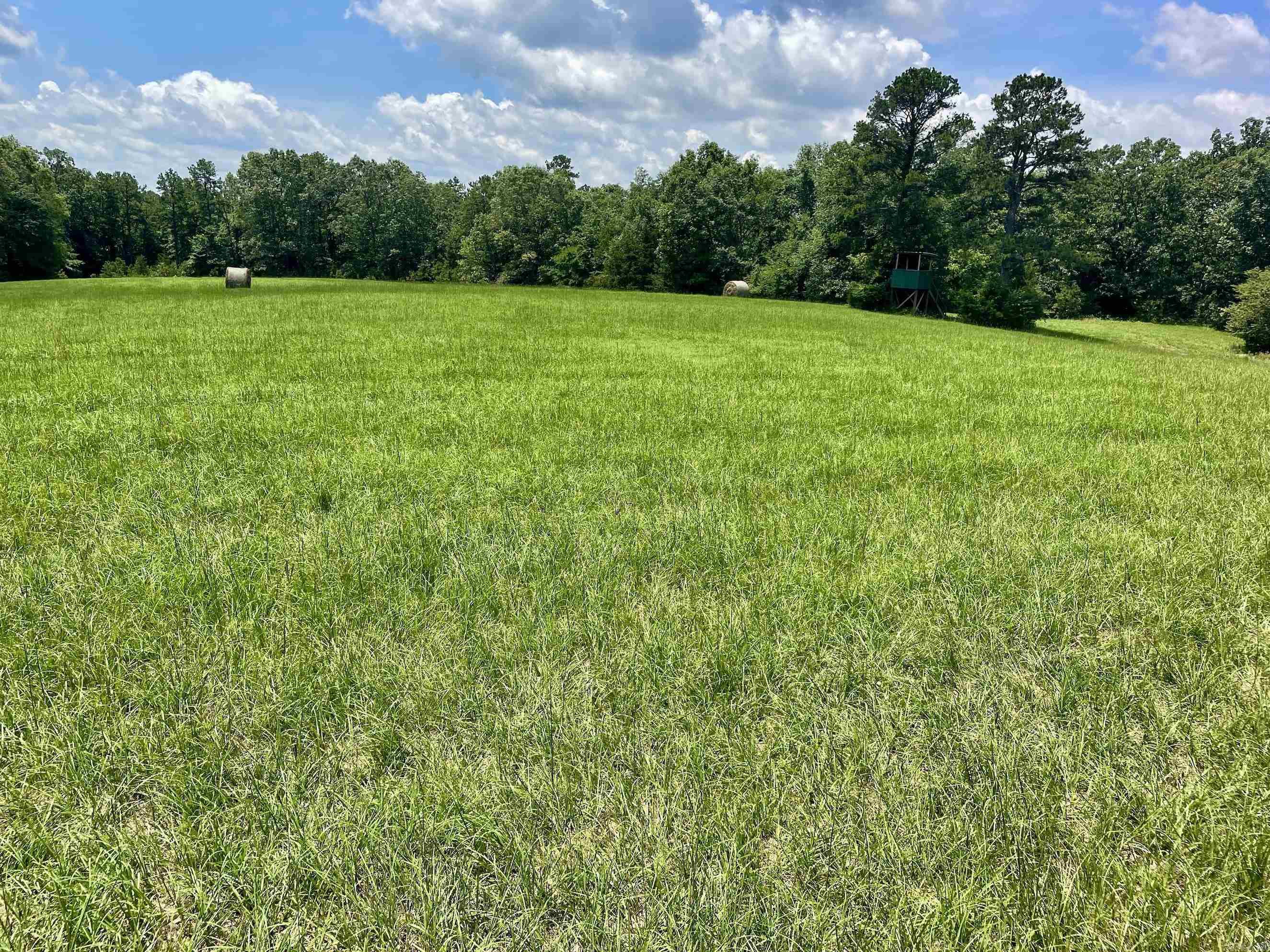 000 Scratch Gravel Road  Damascus, AR