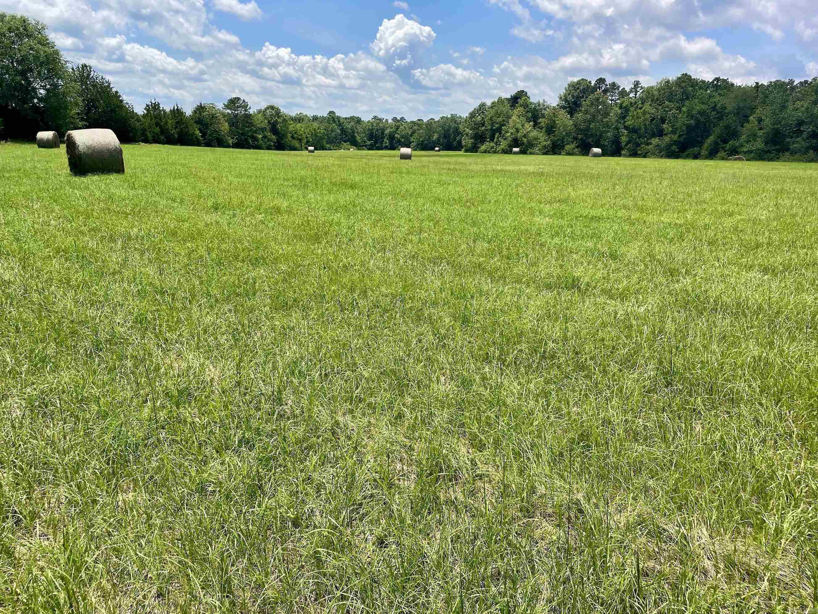 000 Scratch Gravel Road  Damascus, AR