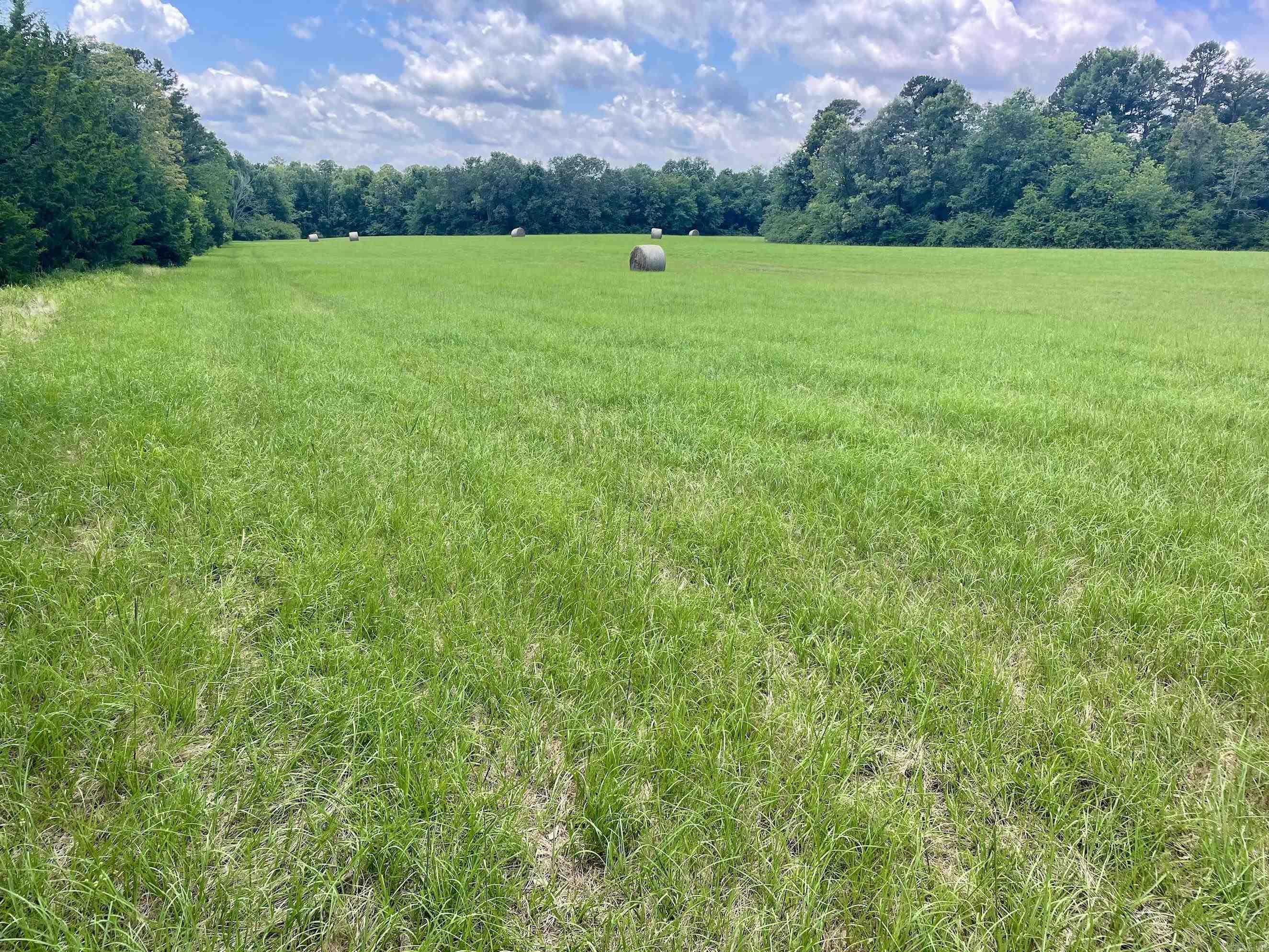 000 Scratch Gravel Road  Damascus, AR