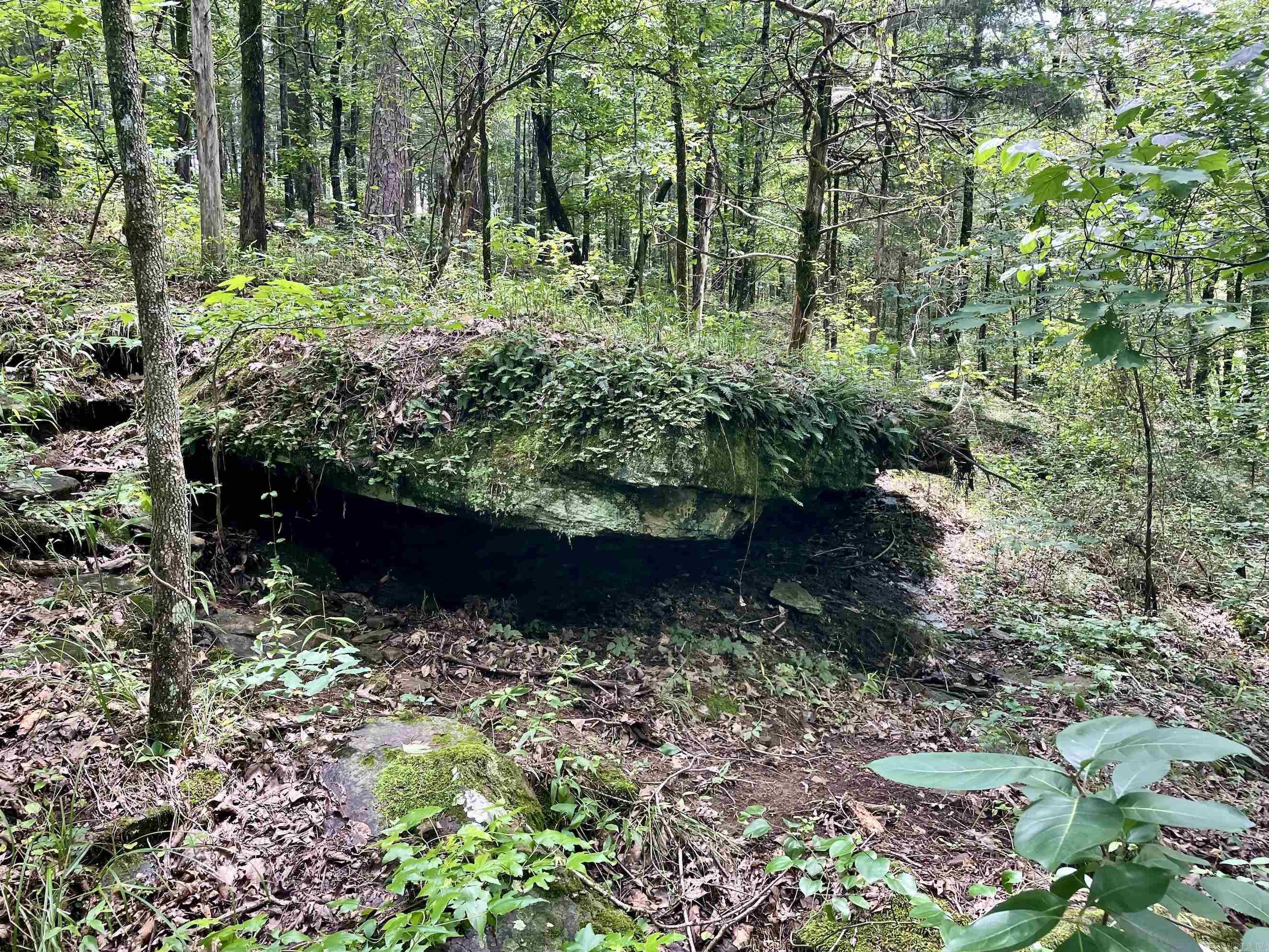 000 Scratch Gravel Road  Damascus, AR