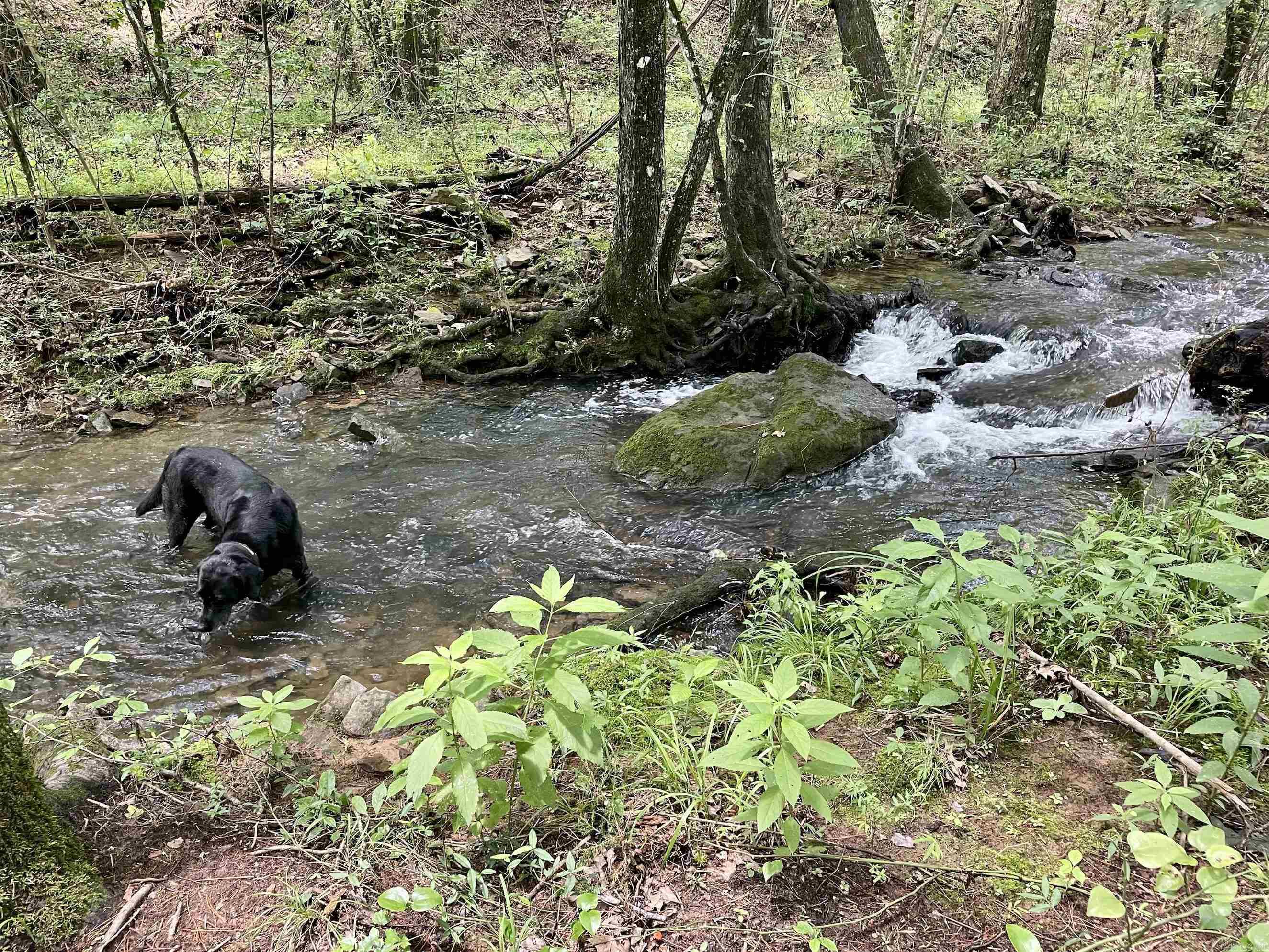 000 Scratch Gravel Road  Damascus, AR