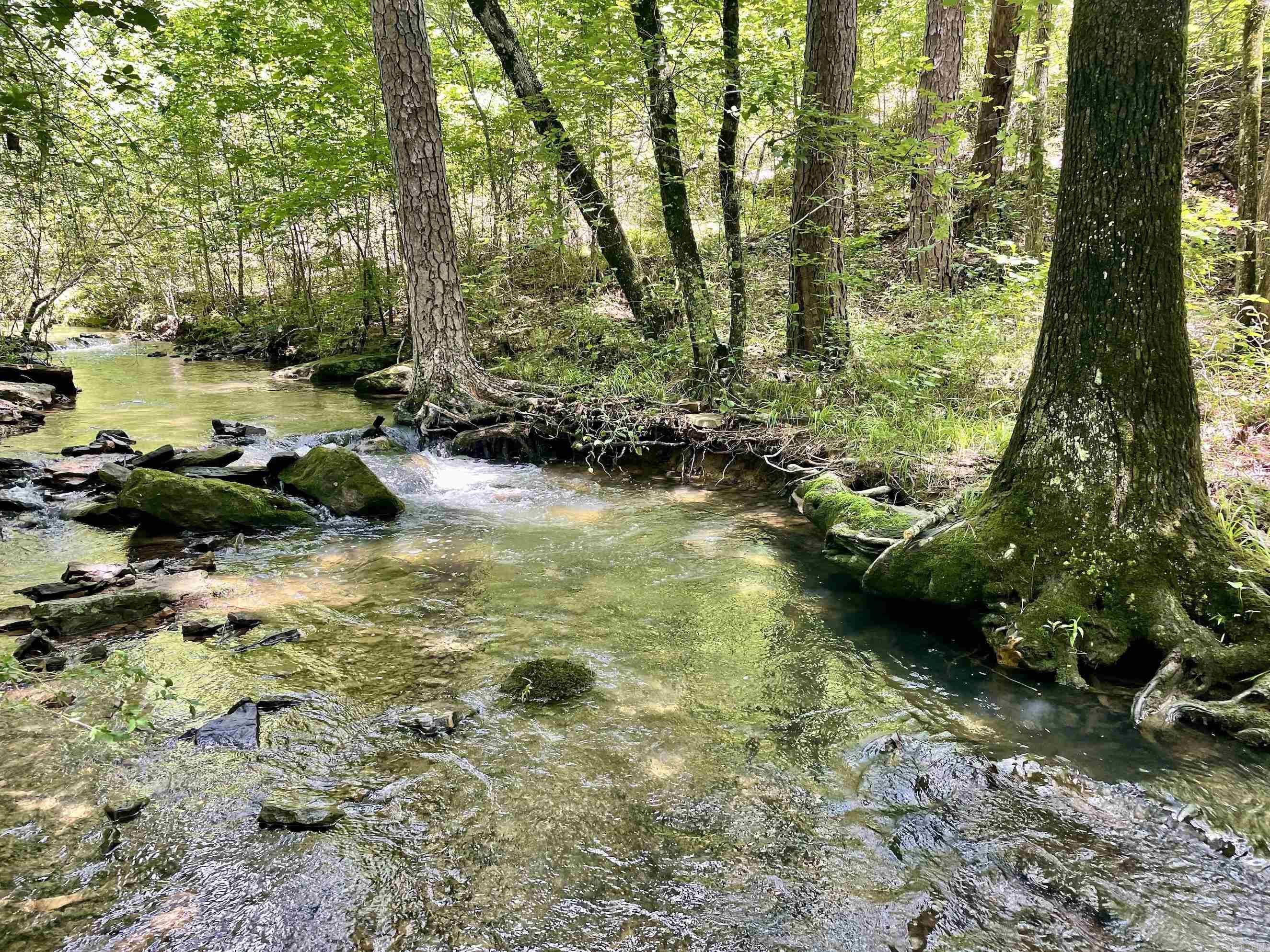 000 Scratch Gravel Road  Damascus, AR