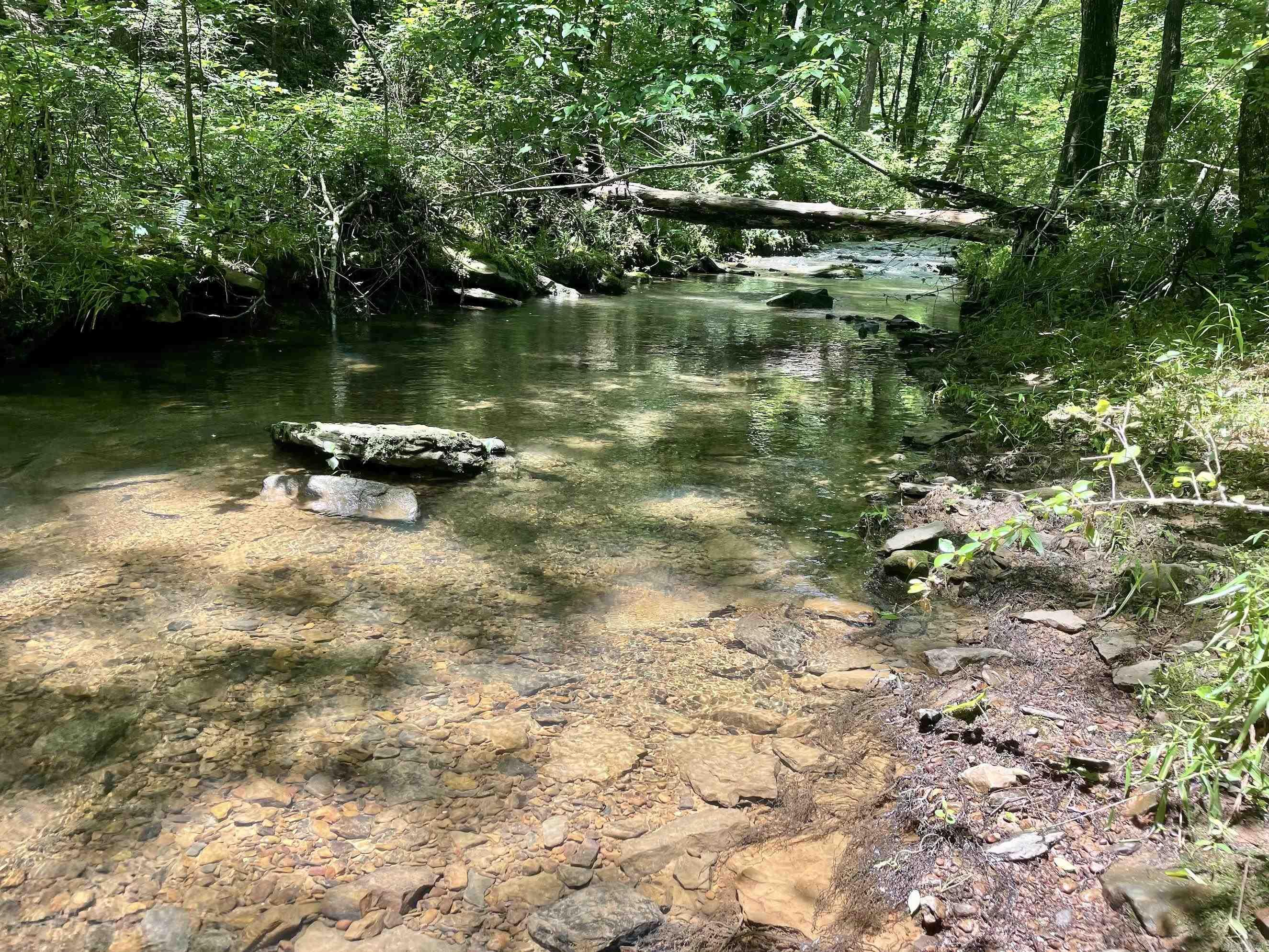 000 Scratch Gravel Road  Damascus, AR