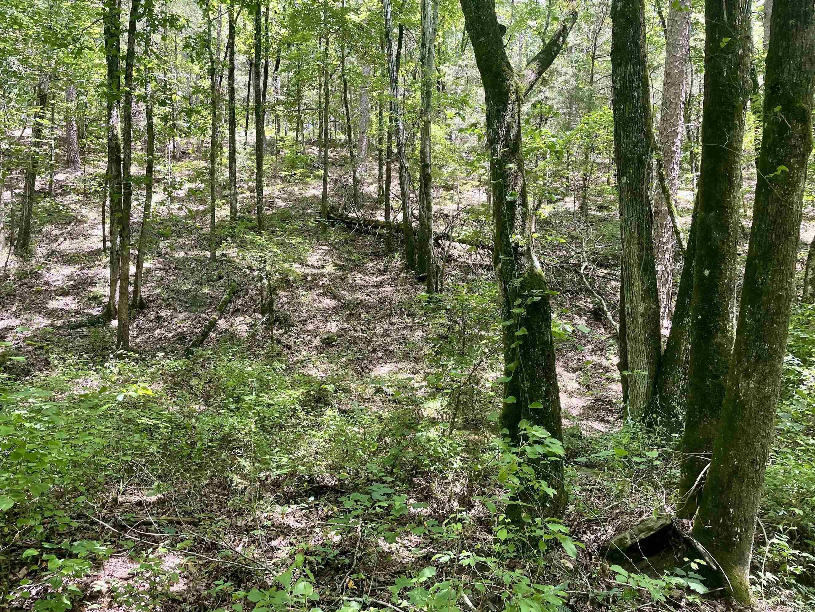 000 Scratch Gravel Road  Damascus, AR