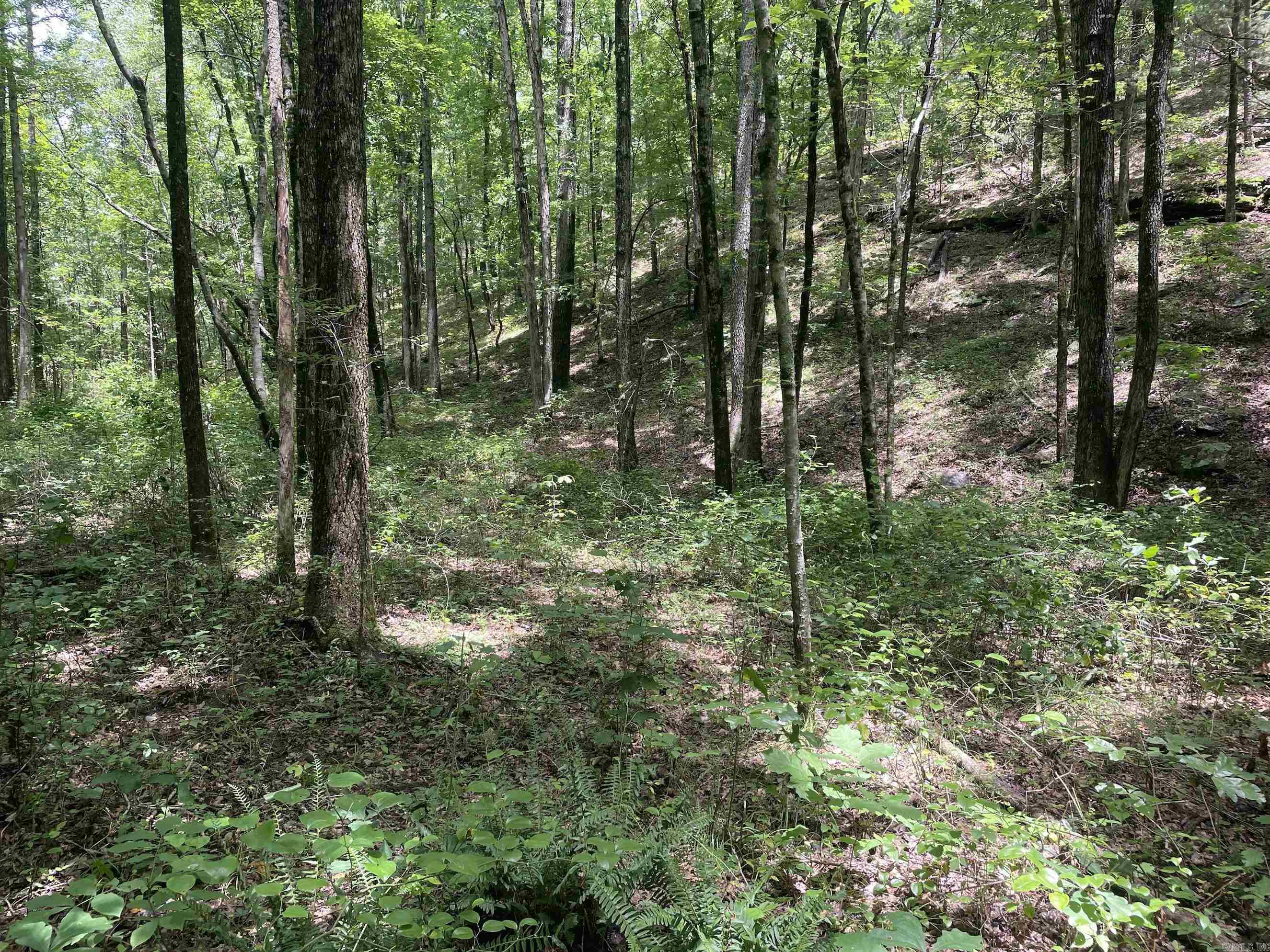 000 Scratch Gravel Road  Damascus, AR